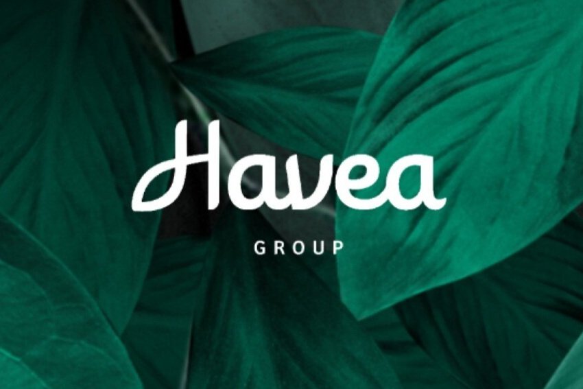 Havea Group.jpg