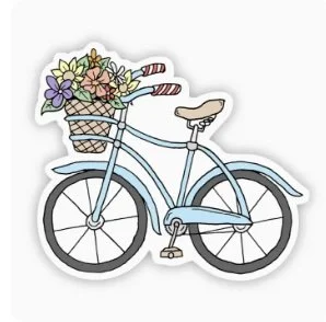 lue bike.jpg