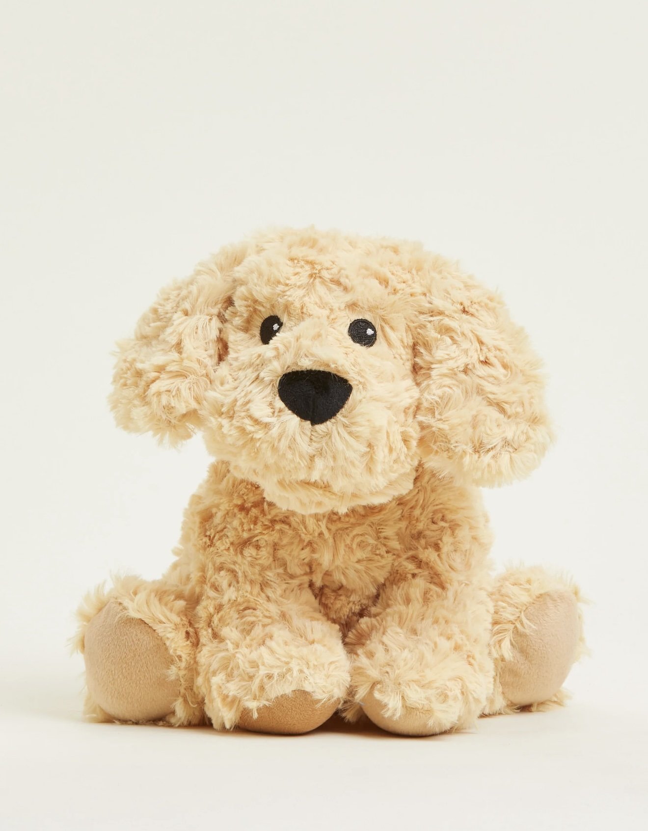 golden dog.jpg