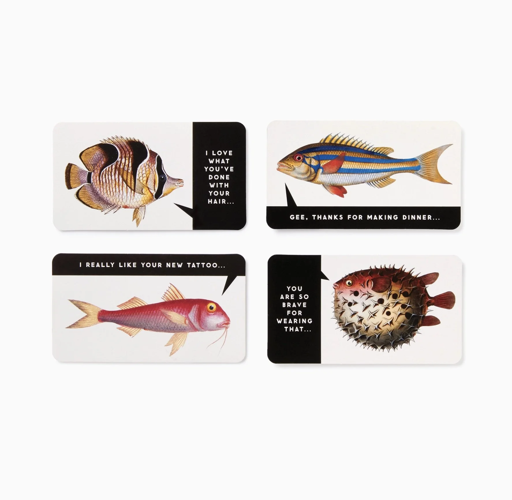 fish cards.jpg
