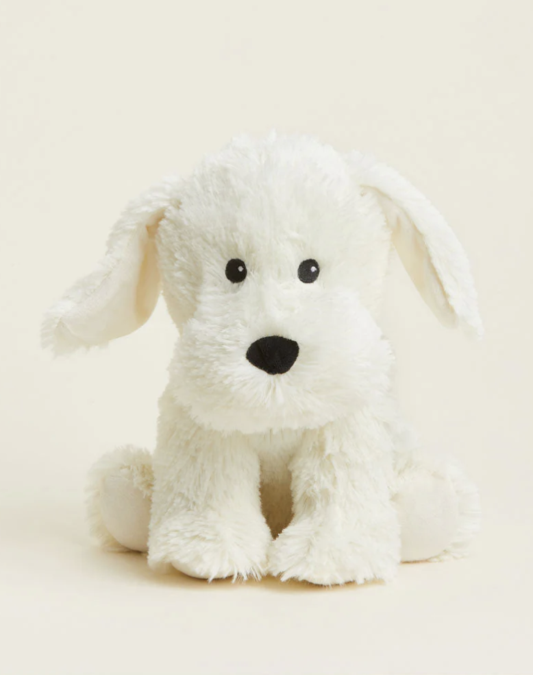 yellow labrador.png
