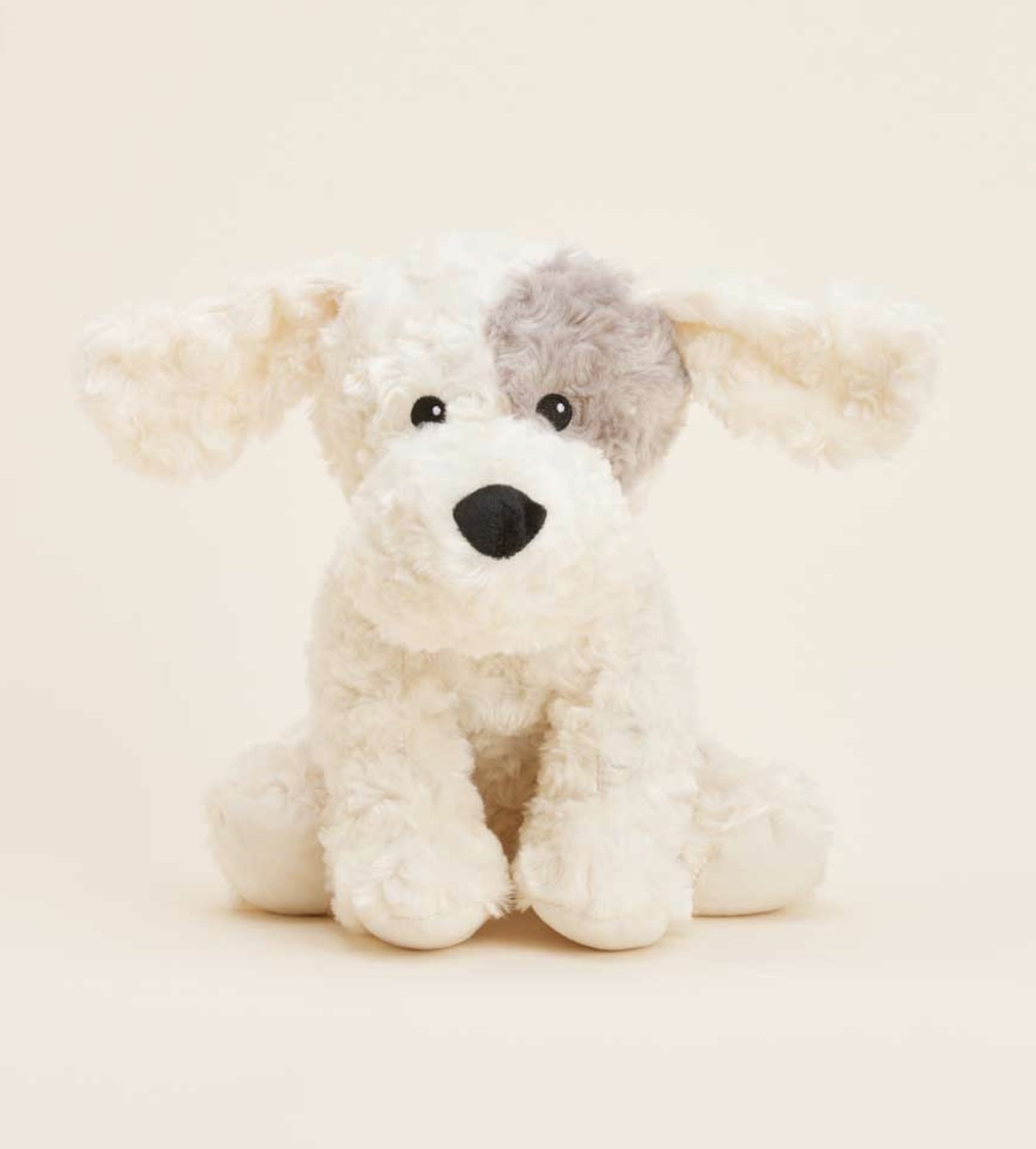 patch curly dog.jpg