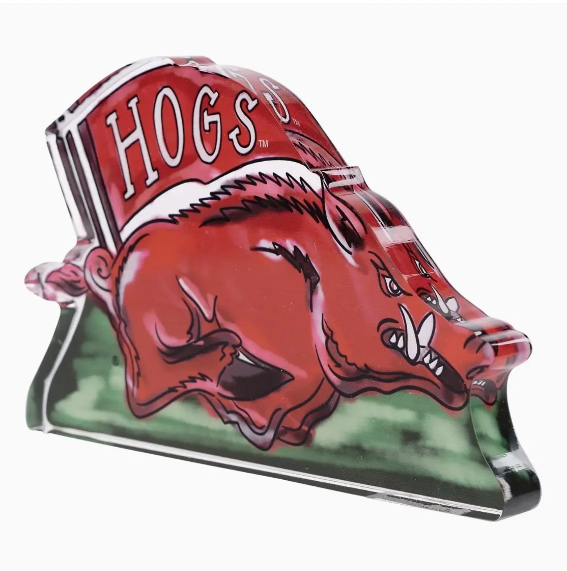 hogs a.jpg