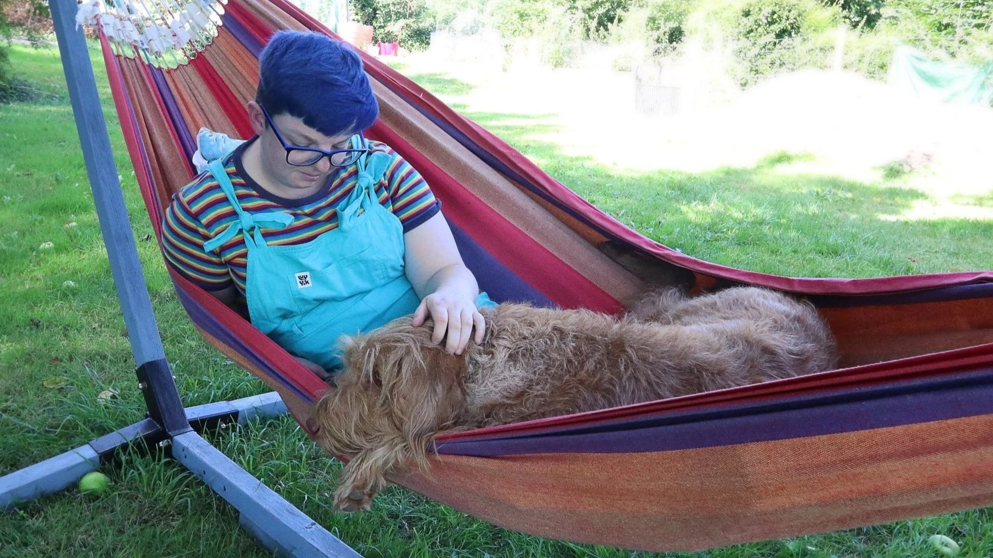 How to teach your dog to chill out