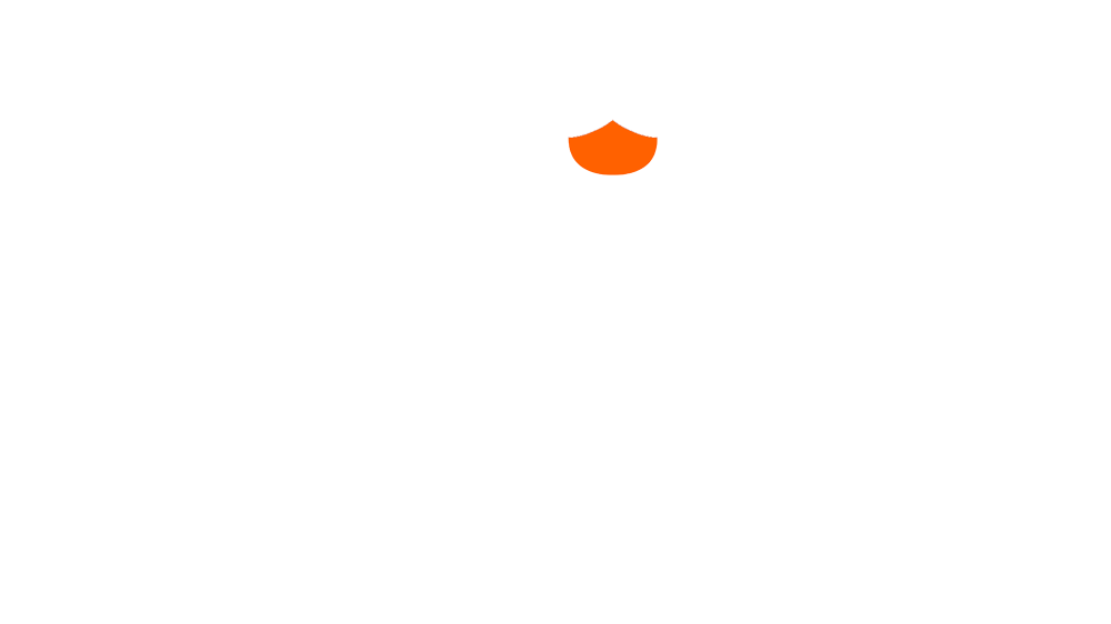 Indigo Dog Training