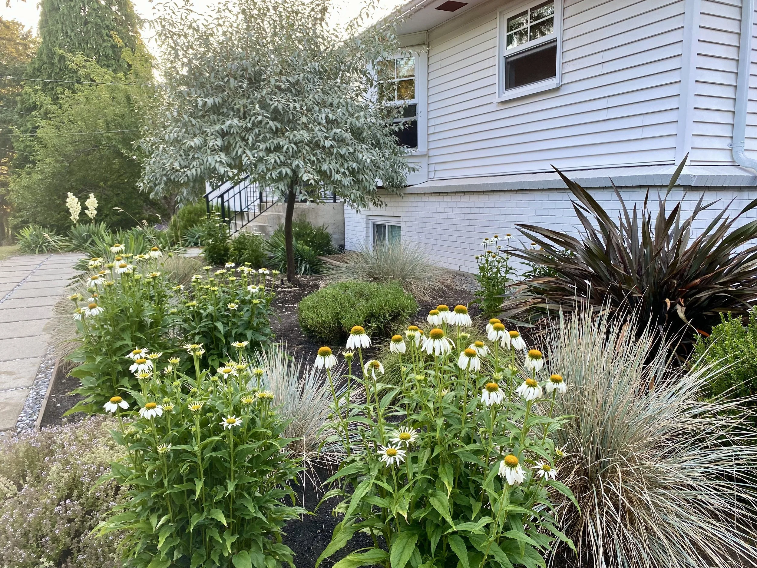 Brentwood Front Garden
