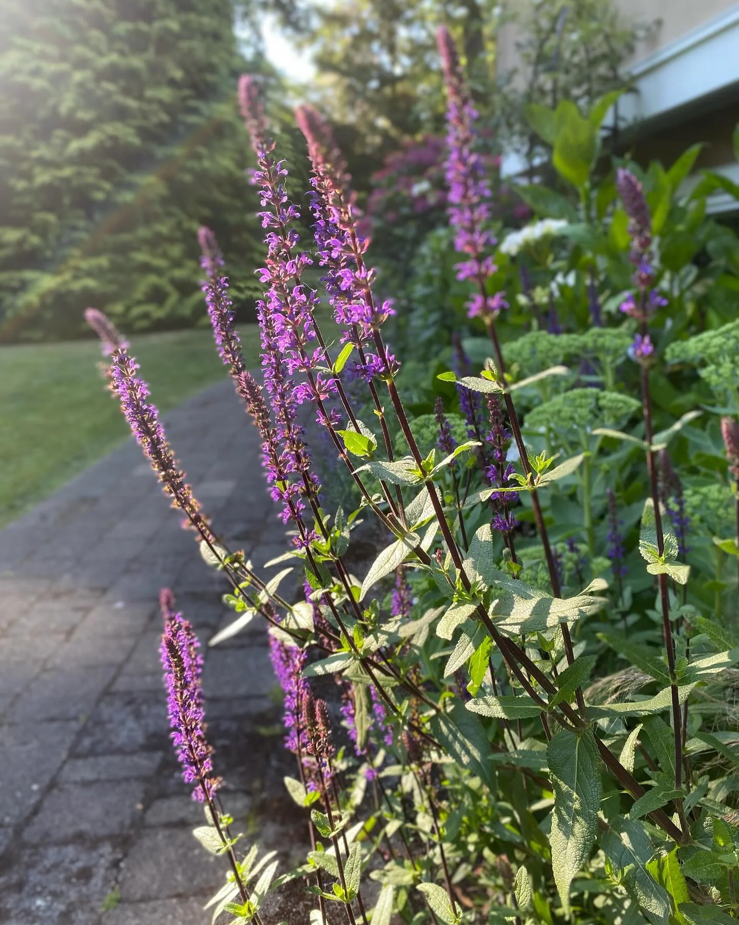 I don&rsquo;t think there&rsquo;s anything as powerful as light when creating a mood that really works its magic. Every moment that&rsquo;s planted itself forever in my mind is intertwined with the ambience of light and shadow. Think sunsets and cand