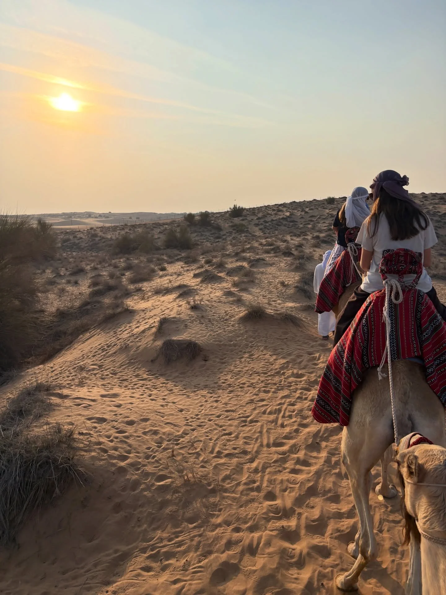 Only the toughest of plants out here 🐪🏜️ 

#emptyquarter #uae #platinumheritage #dubai #desertsafari
