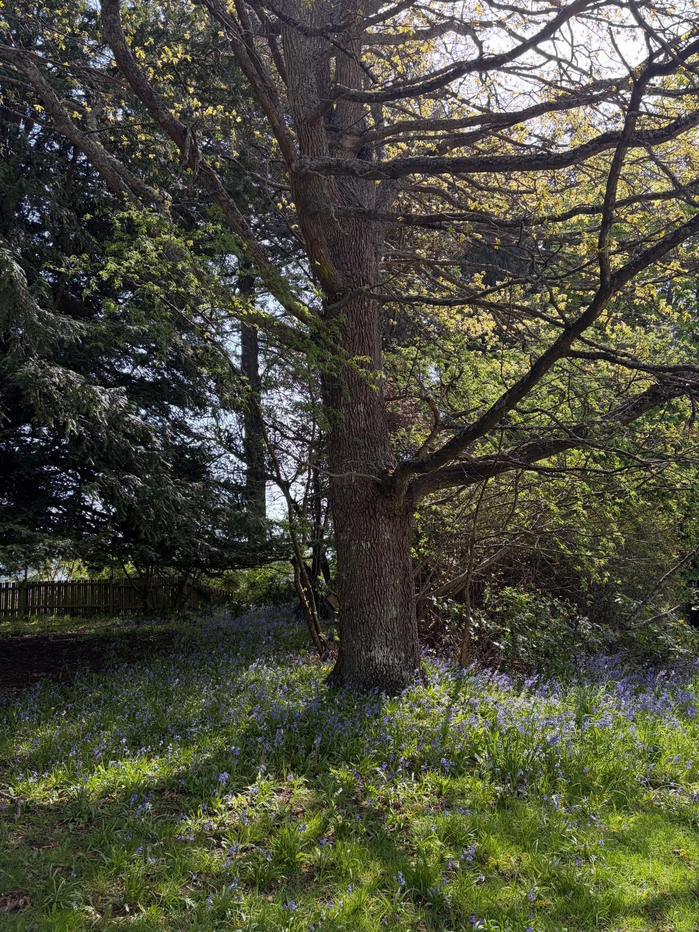 When so much online is negative, a space for peace