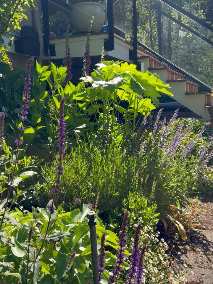 A little photo log of the past couple months. Lots of enjoying the natural beauty of our neighborhood, garden time, gym workouts and family stuff (although I don&rsquo;t share much of that here - privacy and all), Design Victoria of course, and a bri