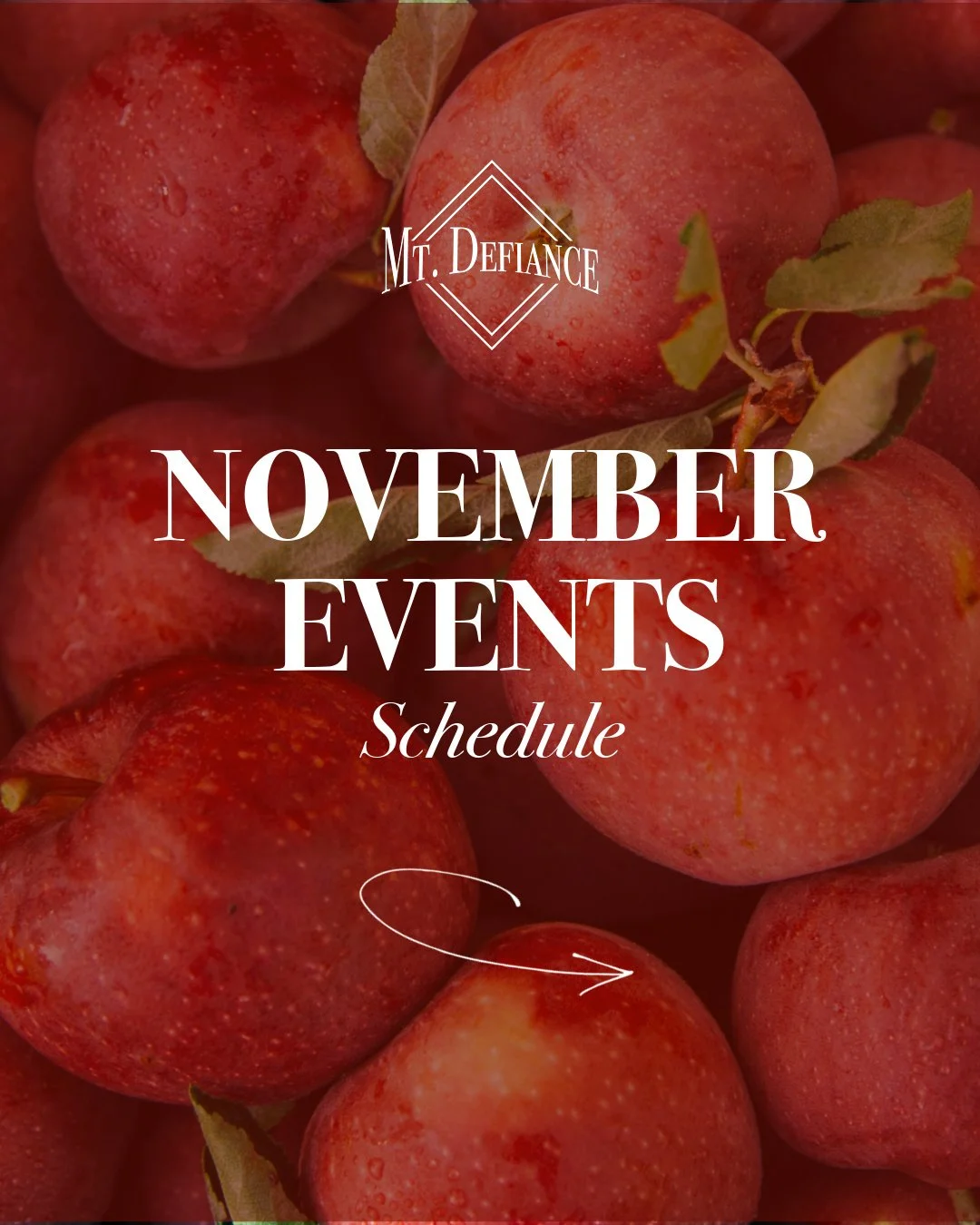 November is almost here and we've got some great events lined up at the Barn. 

Join us for live music, our annual holiday market, our Aldie Mill Edition bourbon release and more! Swipe through &amp; save this post so you don't miss a single one. 

#