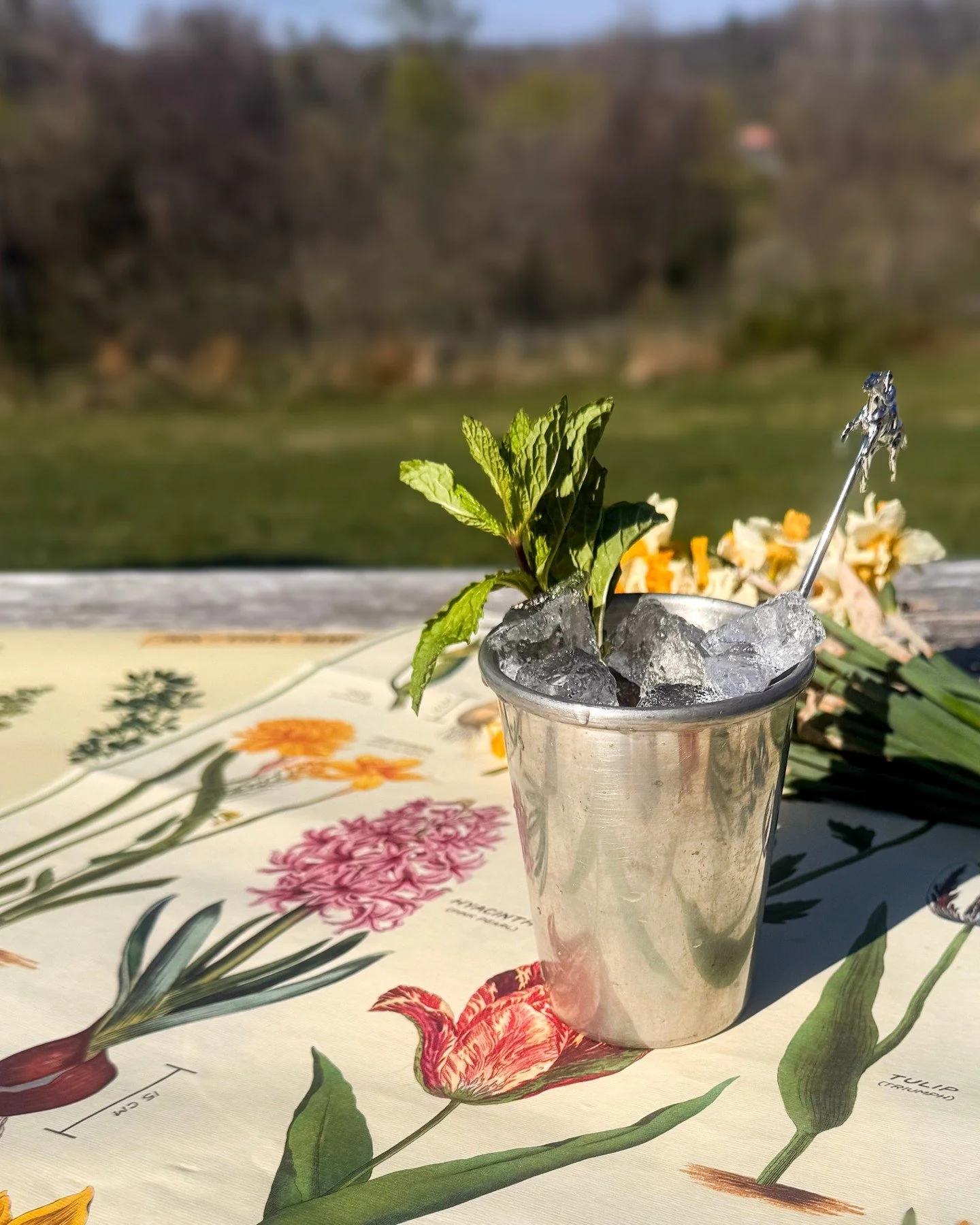 We're opening early for Derby Day on Saturday May 2nd at 11am! Head over to Mt. Defiance before the races and enjoy our signature Peach Mint Juleps and Peach Julep Cider! 🐎

You can find these derby-worthy julep cups at @loudounmarket 🌿 And the per