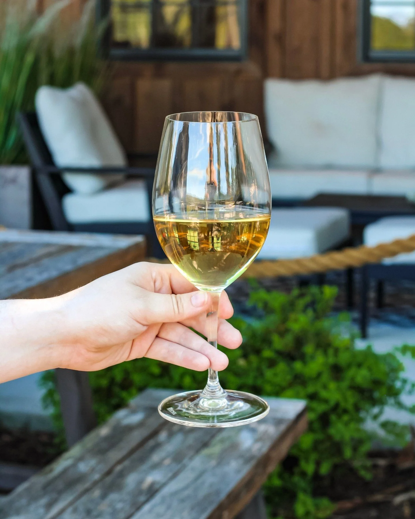 Toast to spring with a glass of our Skyline Chardonnay. 

It's the perfect sip for the season with notes of fresh green apple, pear, and citrus. 🍋

#springsips #dcwinecountry