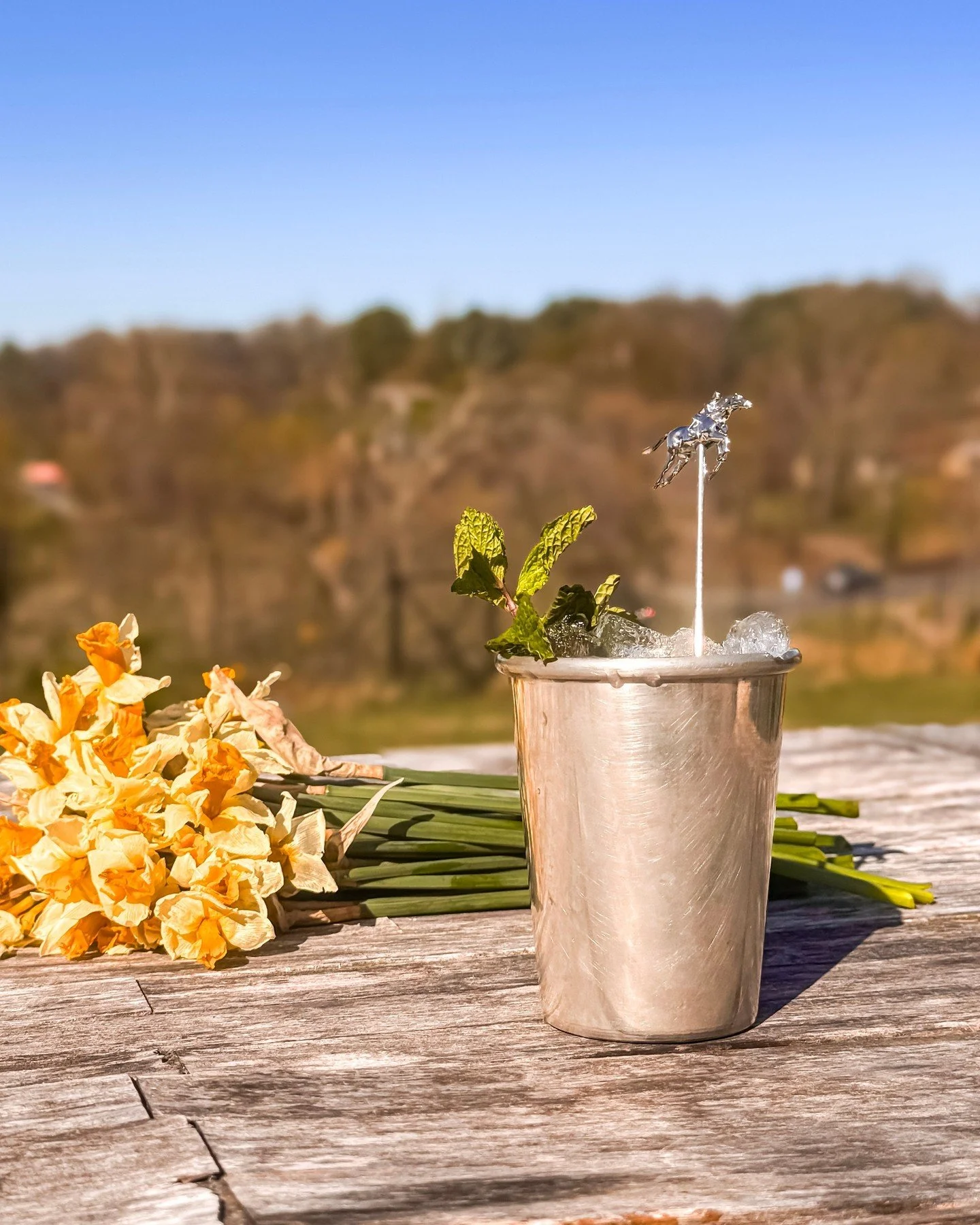 Today is DERBY DAY at Mt. Defiance! 🐎

We're opening early at 11am and serving up our handcrafted Peach Mint Juleps and Peach Julep cider alongside tasty eats from our food menu. 🐎 🍑 🌿

Come out and join us for a drink or grab a bottle on your wa