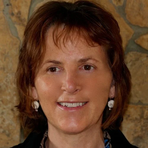 About 1 — Sport Horse Series