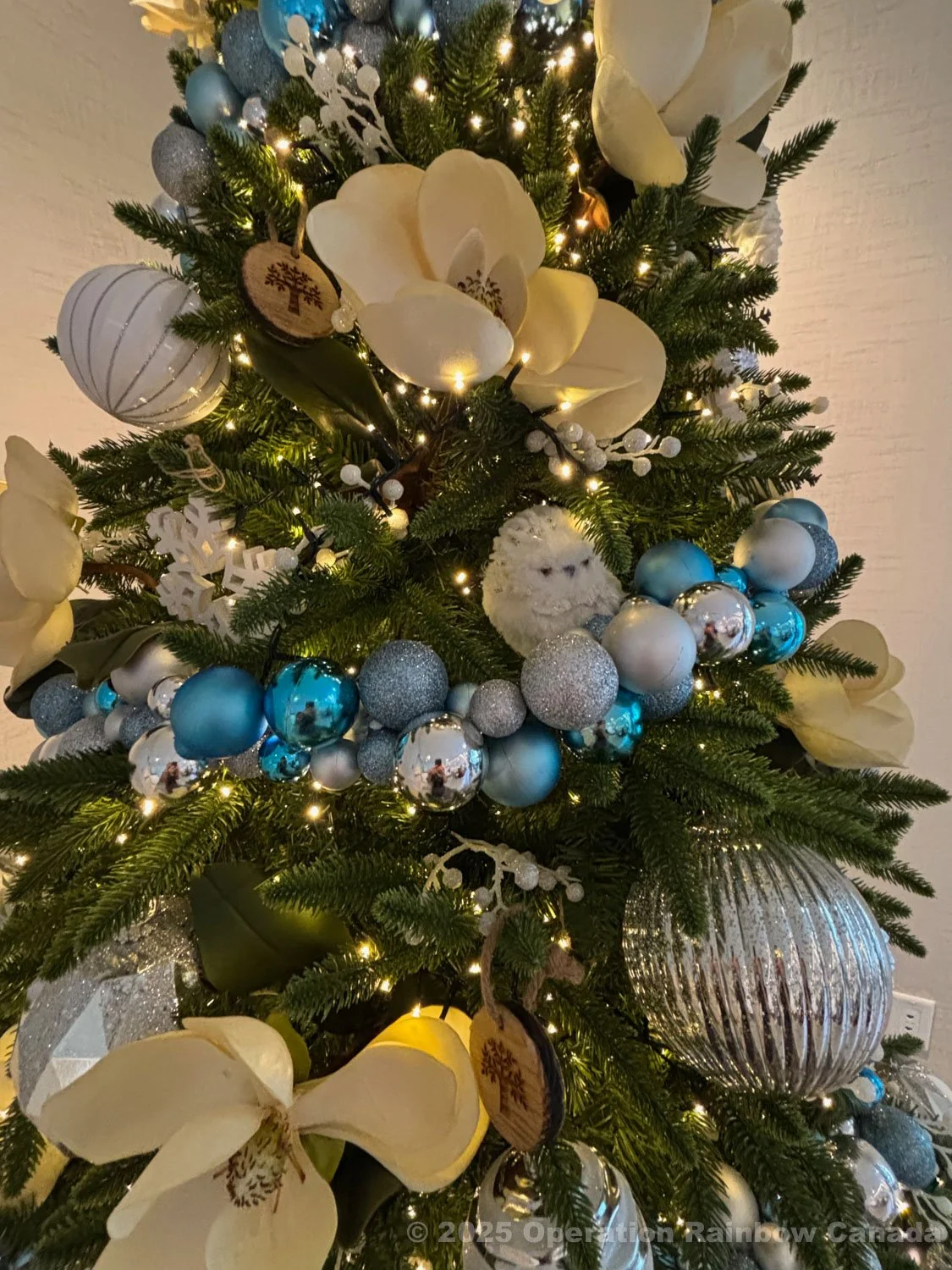 ORC 2025 Brunch_6941.jpg