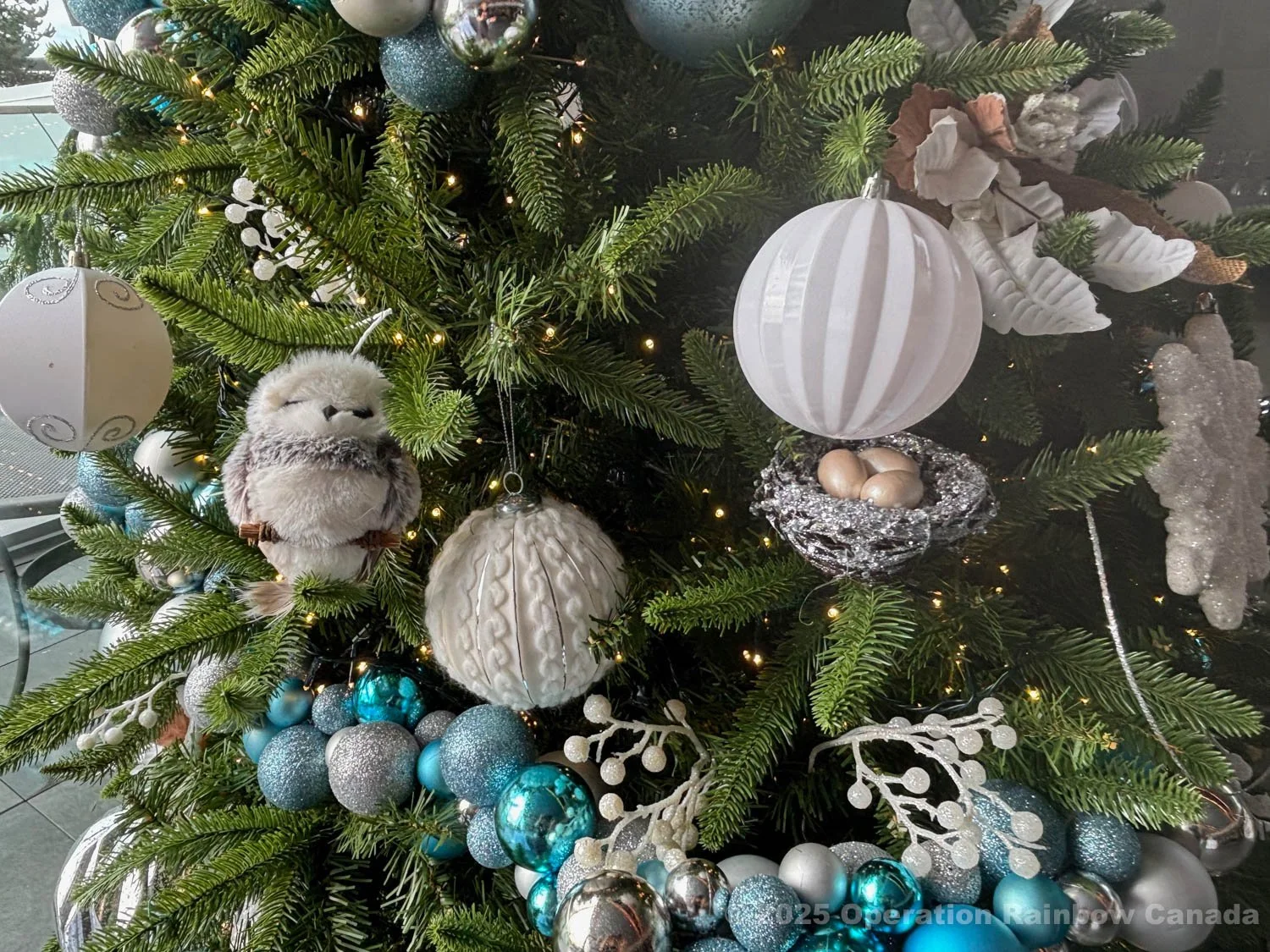 ORC 2025 Brunch_6992.jpg