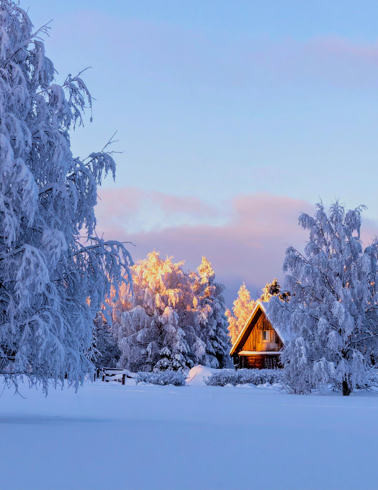 An Ars Musica Holiday