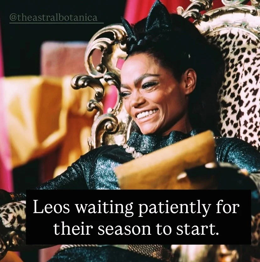 The Sun 🌞 enters Leo ♌️ tomorrow 😛 Are you ready?! I am 🦁 My birthday is next week🥳Where are my fellow cool cats 🐈‍⬛ at? We got a powerful new moon in Leo coming on Thursday 7/26 🌚 This new moon will oppose Pluto 💣 so dare to dream big or