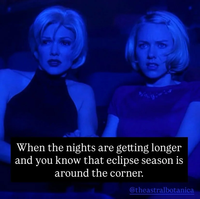 We just had the Virgo new moon at 0° and are now approaching our first eclipse of the season. So, what are eclipse seasons? Eclipse seasons occur twice a year and are when the luminaries (sun & moon) obstruct each others light. Eclipse season