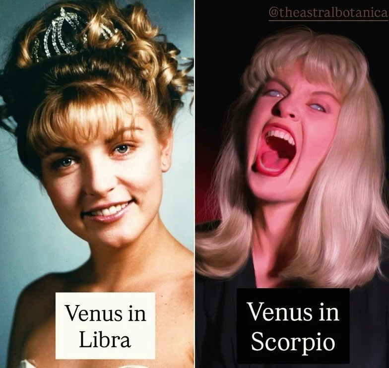 Happy Monday 🖤 The nights are officially longer and we&rsquo;re in the thick of Scorpio season 🦂 The next 7 days hold a lot of ✨transformative✨astroweather ☔️ This week we have a full moon in Taurus, Mars opposes Uranus, Venus enters Scorpio and Me