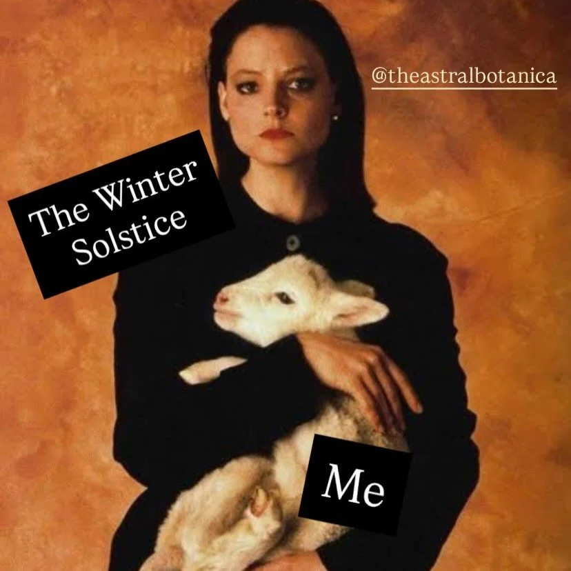 ✨✨✨happy solstice✨✨✨may the darkness hold you as we await the return of the sun🌞the days get longer from here and the intentions we set now will greet us in the new new year at the spring equinox💫I hope this season blesses you with opportunities to