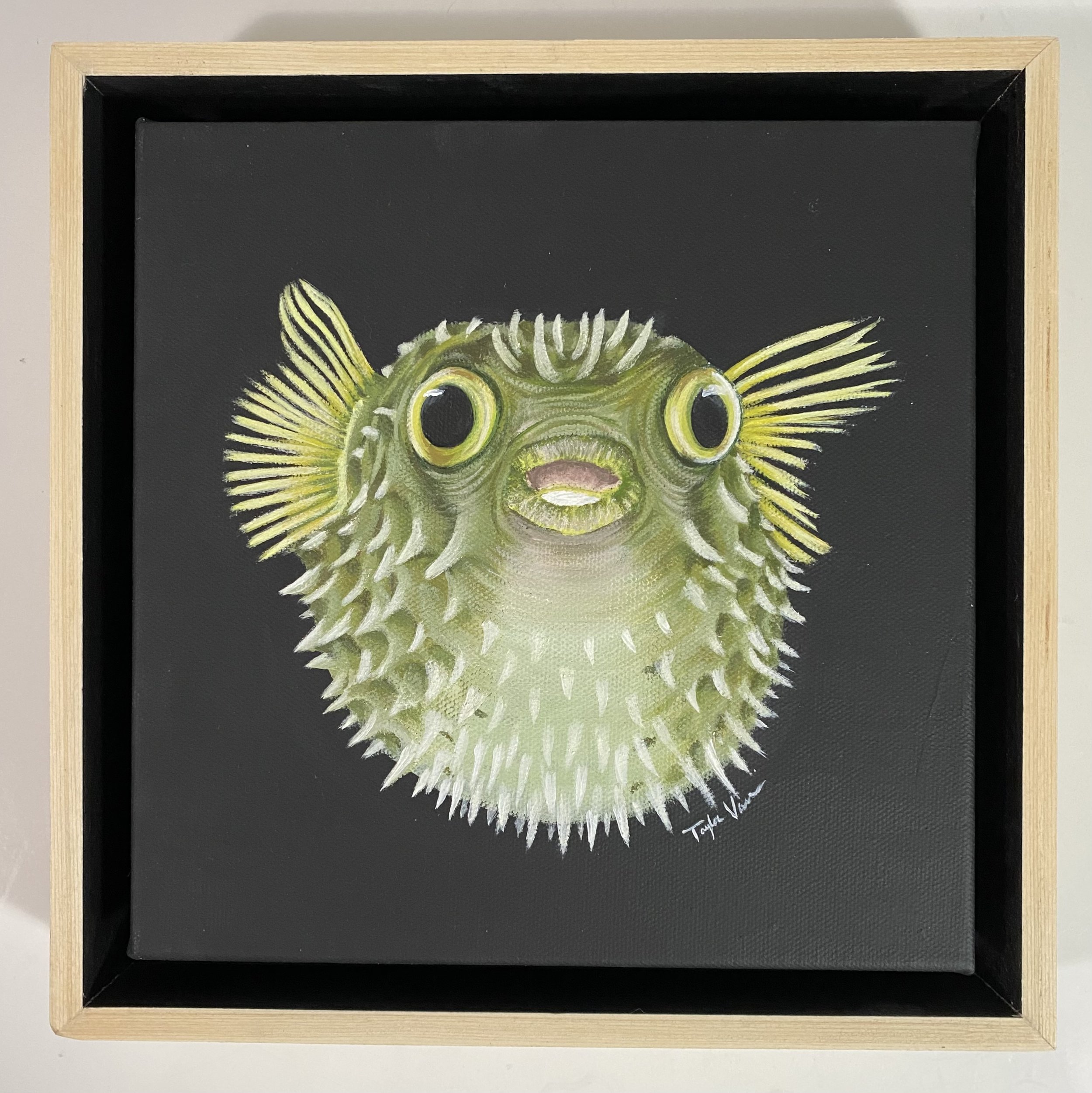 Puffer Fish