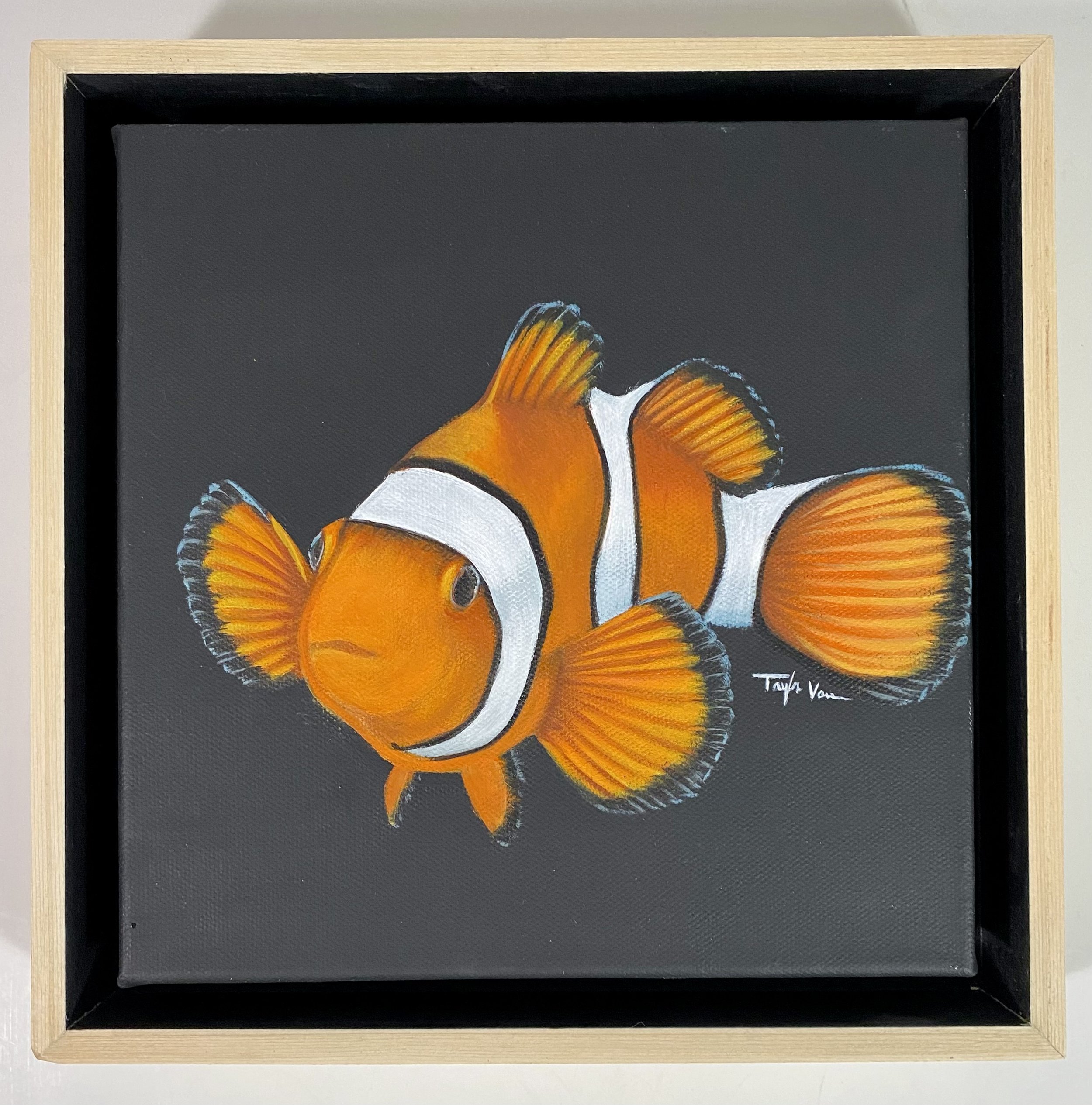 Clownfish