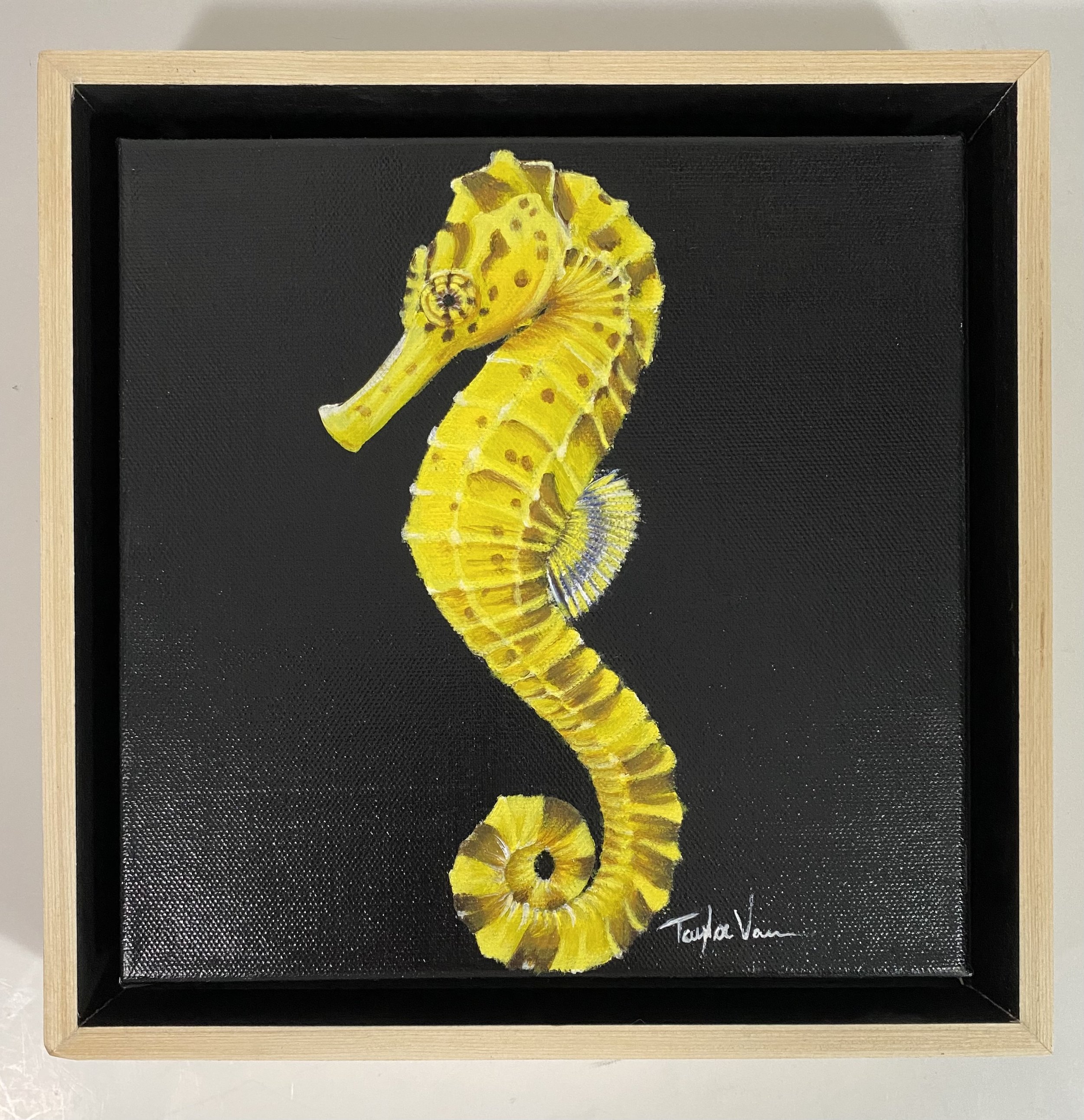Seahorse
