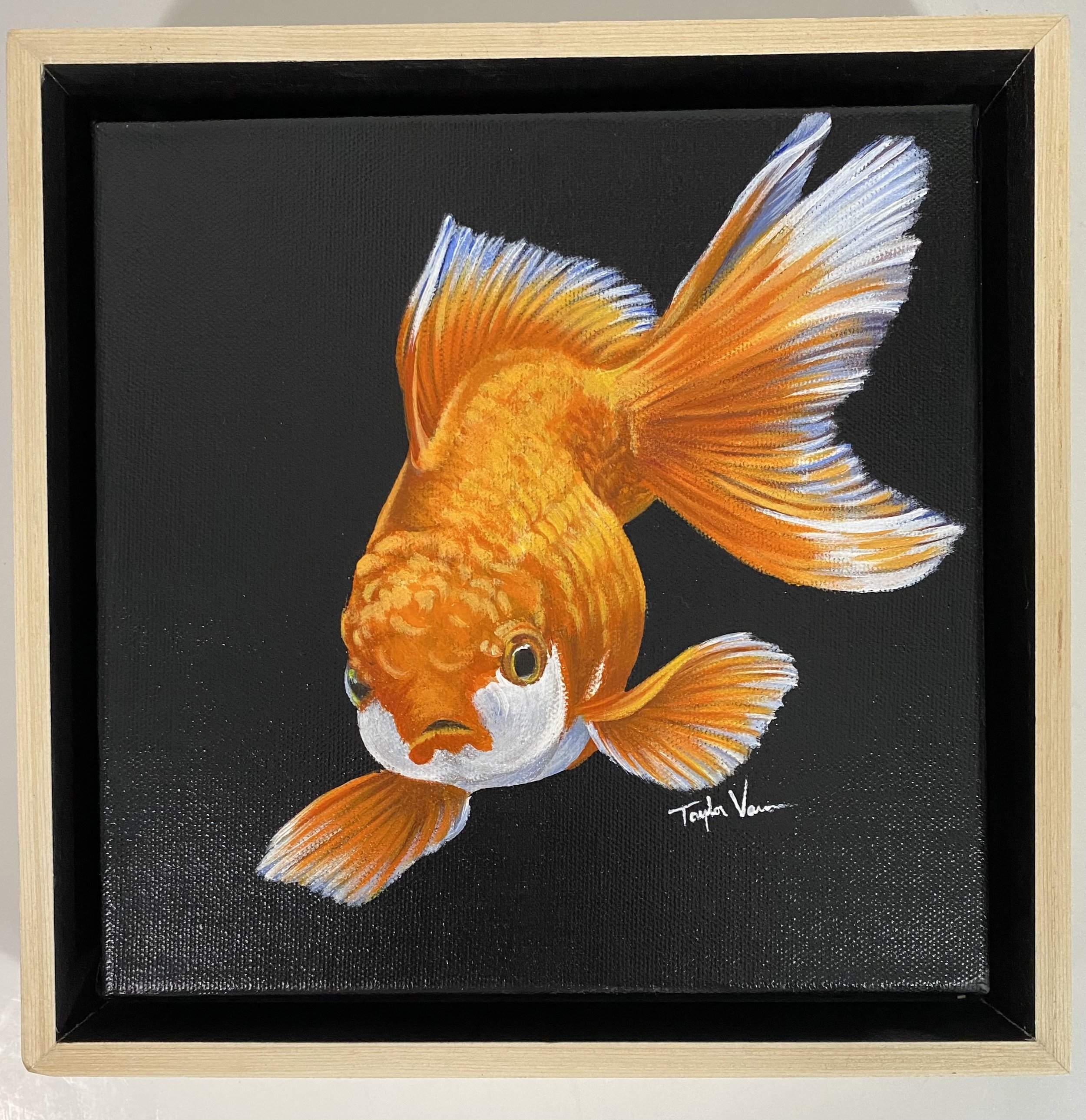 Goldfish