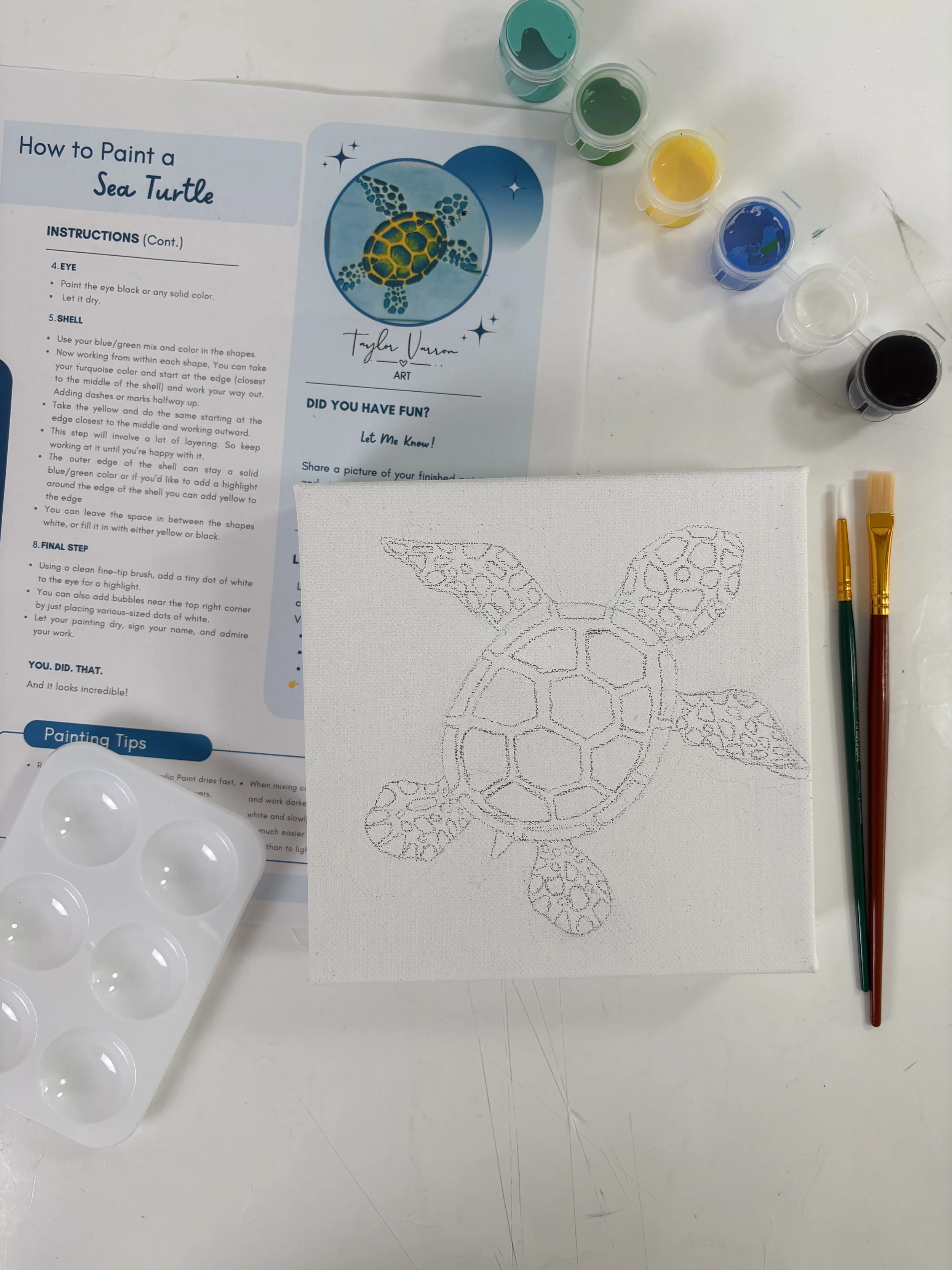 sea turtle paint kit.jpg