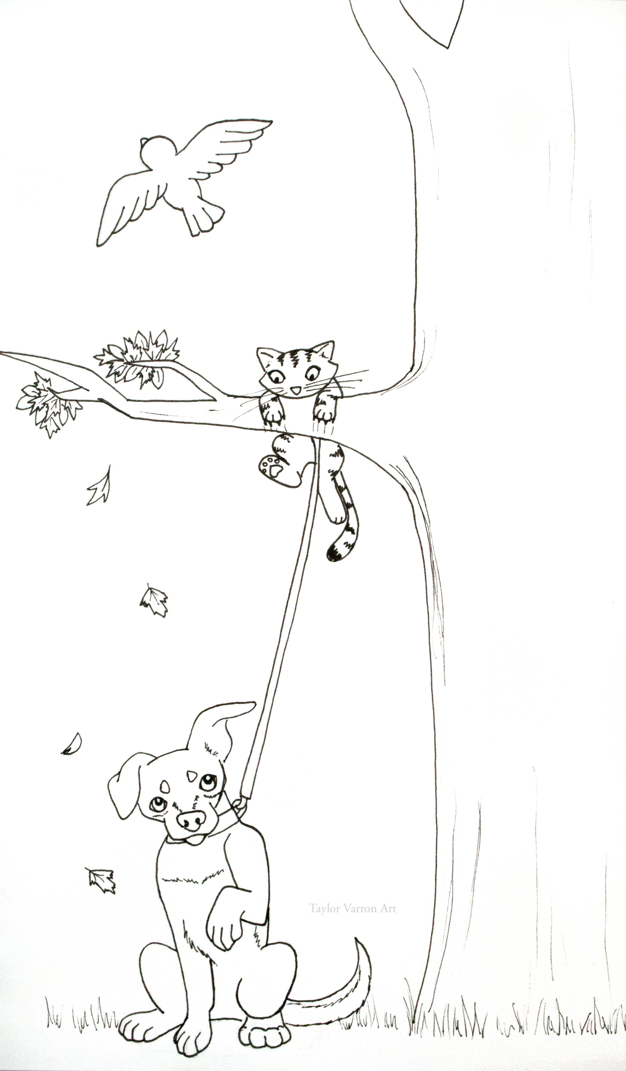 Day 26- Connect