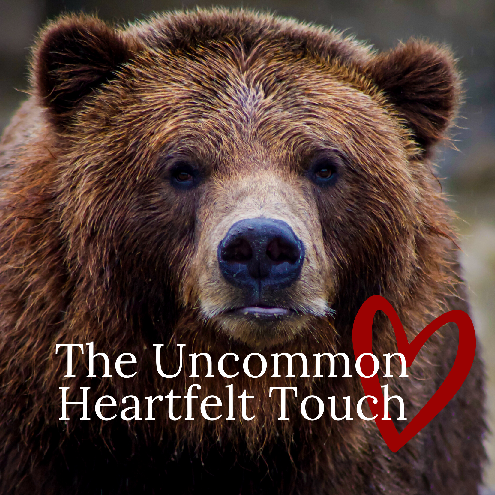 The Uncommon Heartfelt Touch Bear.png