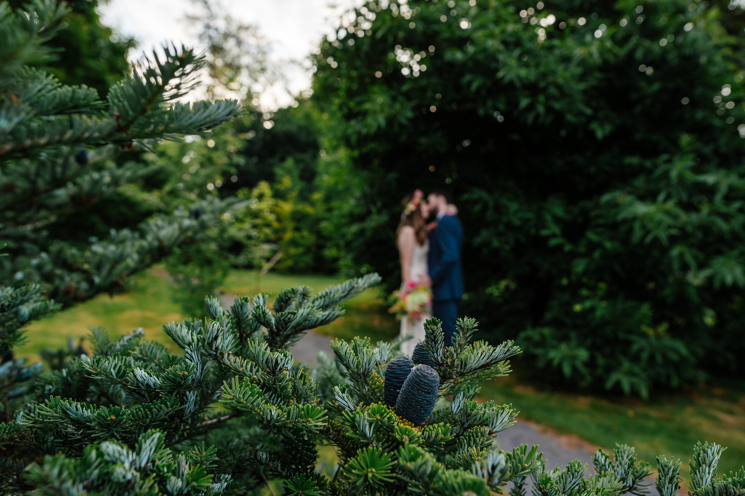 Hollyhollows Wedding Photographer Mid-Wales Tracey Williams Photography-50.jpg