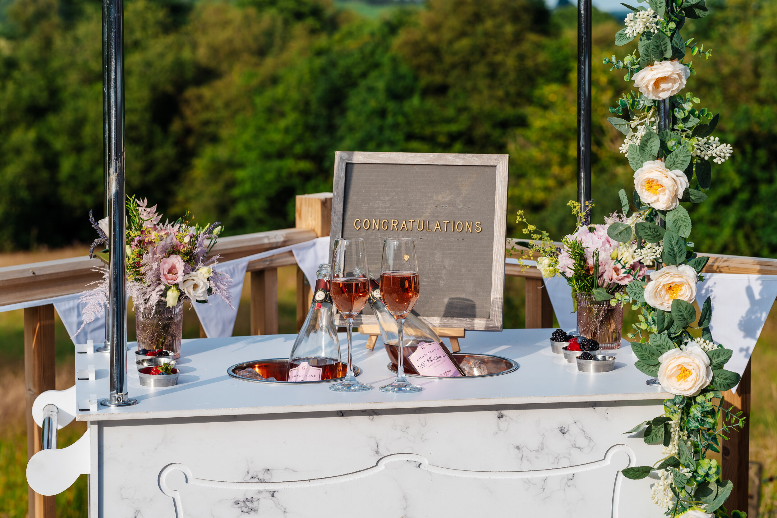 Hollyhollows Wedding Photographer Mid-Wales Tracey Williams Photography-21.jpg