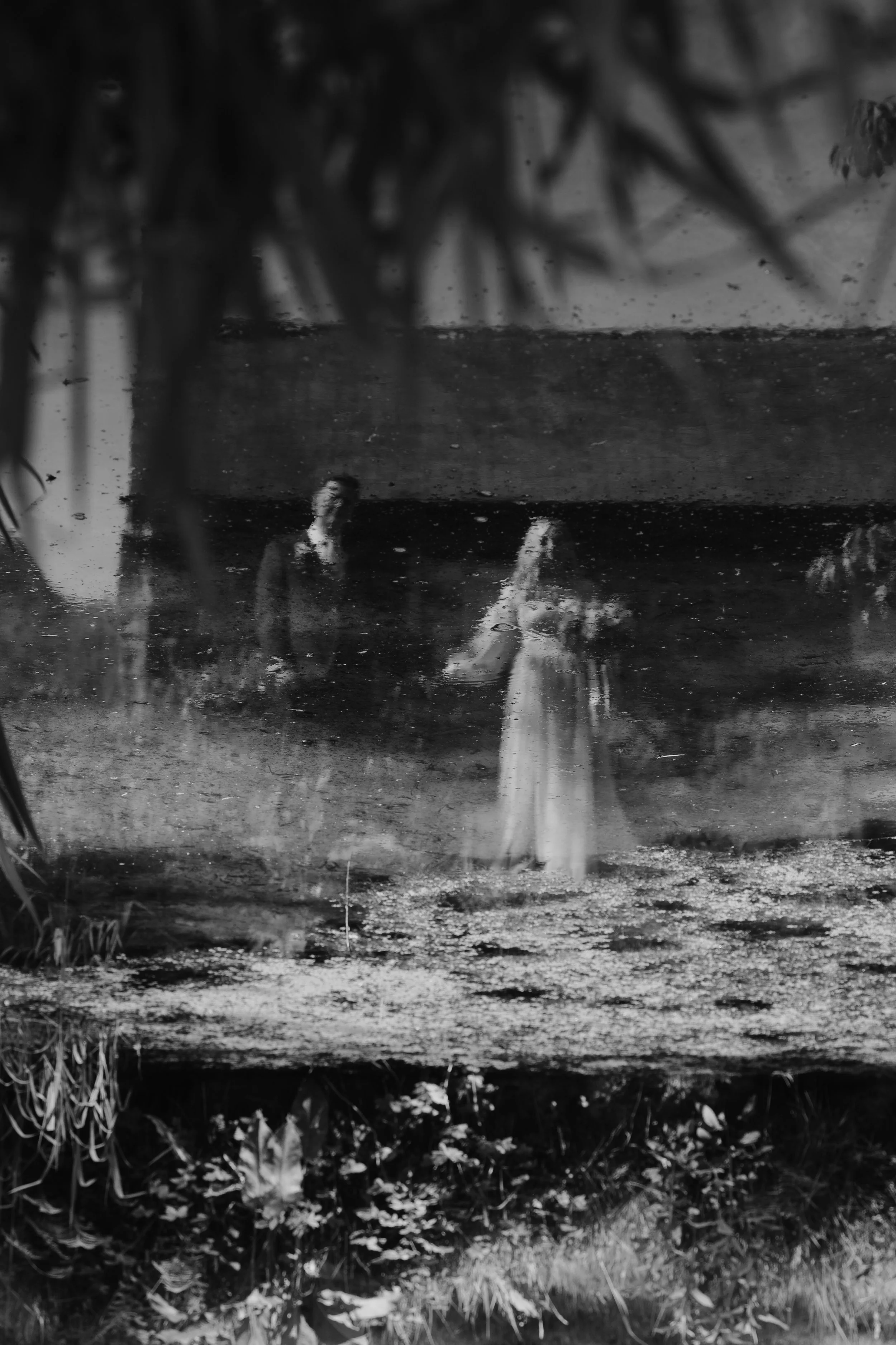 Black and white photo of a small bridge over a shallow stream with reflected sky and surrounding foliage.