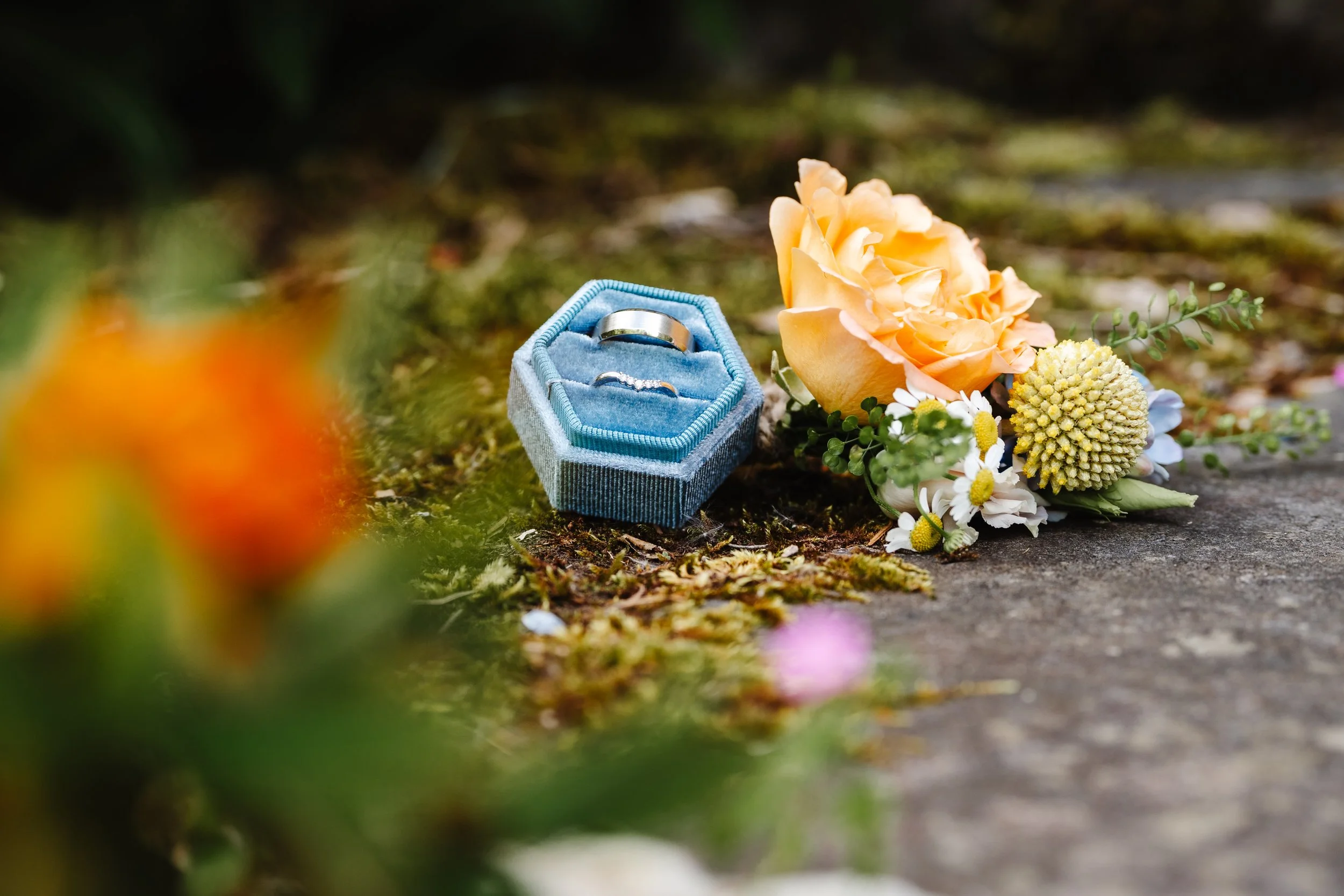 A pair of wedding rings, one plain and one with small diamonds, in a blue velvet ring box, surrounded by flowers, including a peach-colored rose and white daisies, on a mossy surface.