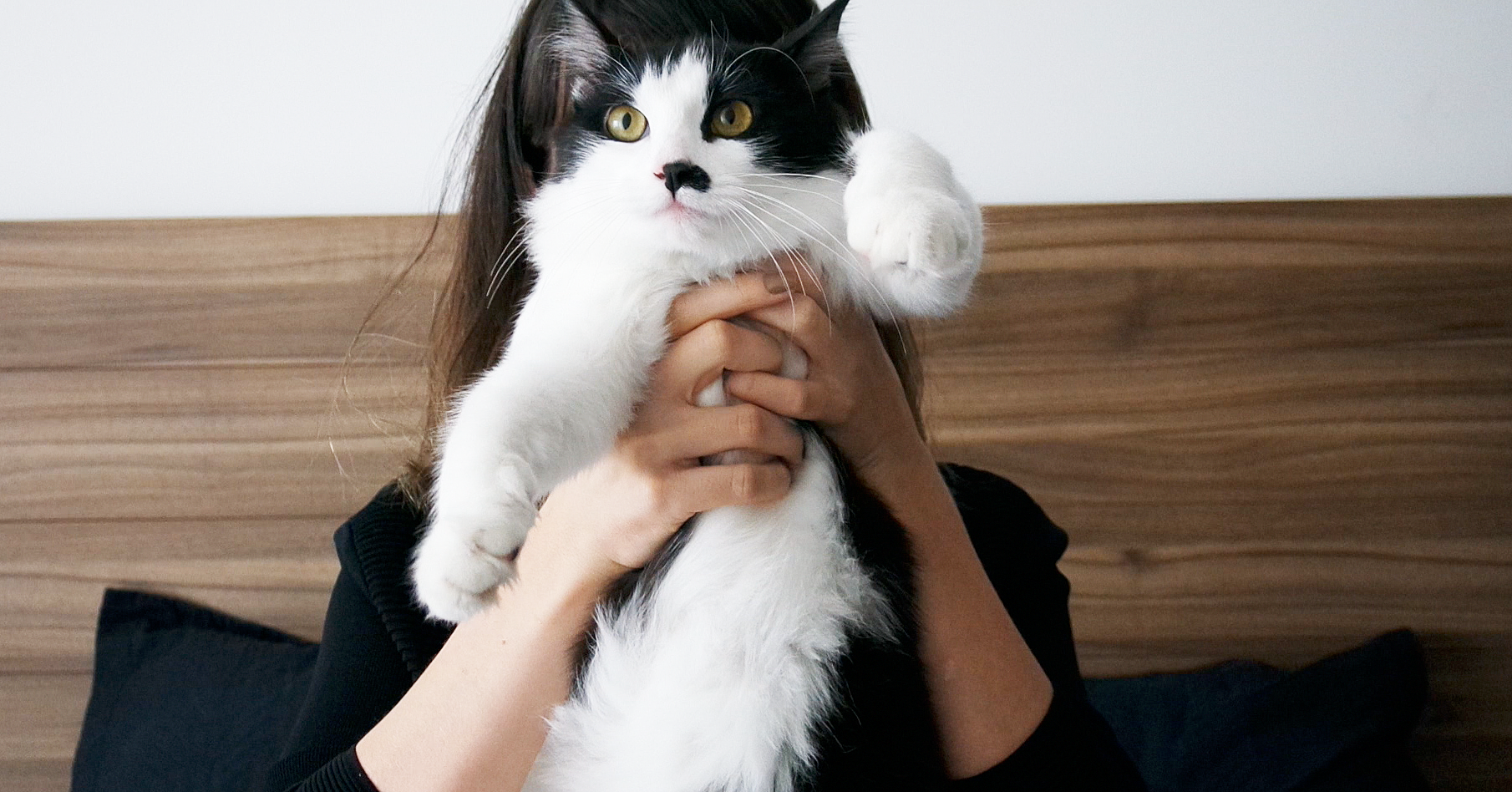 Vídeo | TAG: Leitor Quer Saber