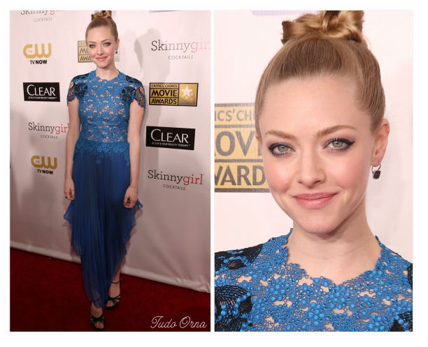 Critics' Choice Awards 2013
