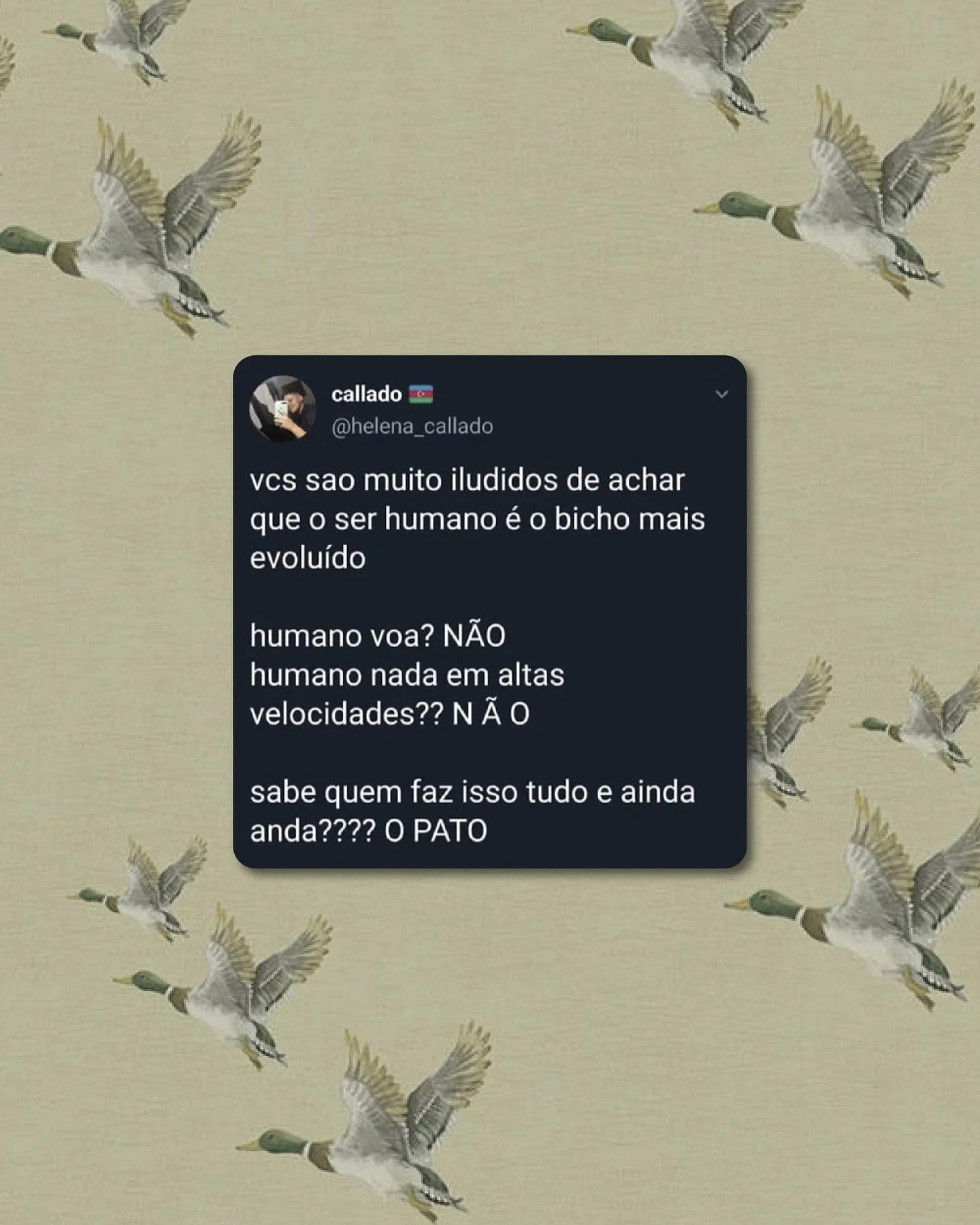 Quem mais concorda? 😂🦆
