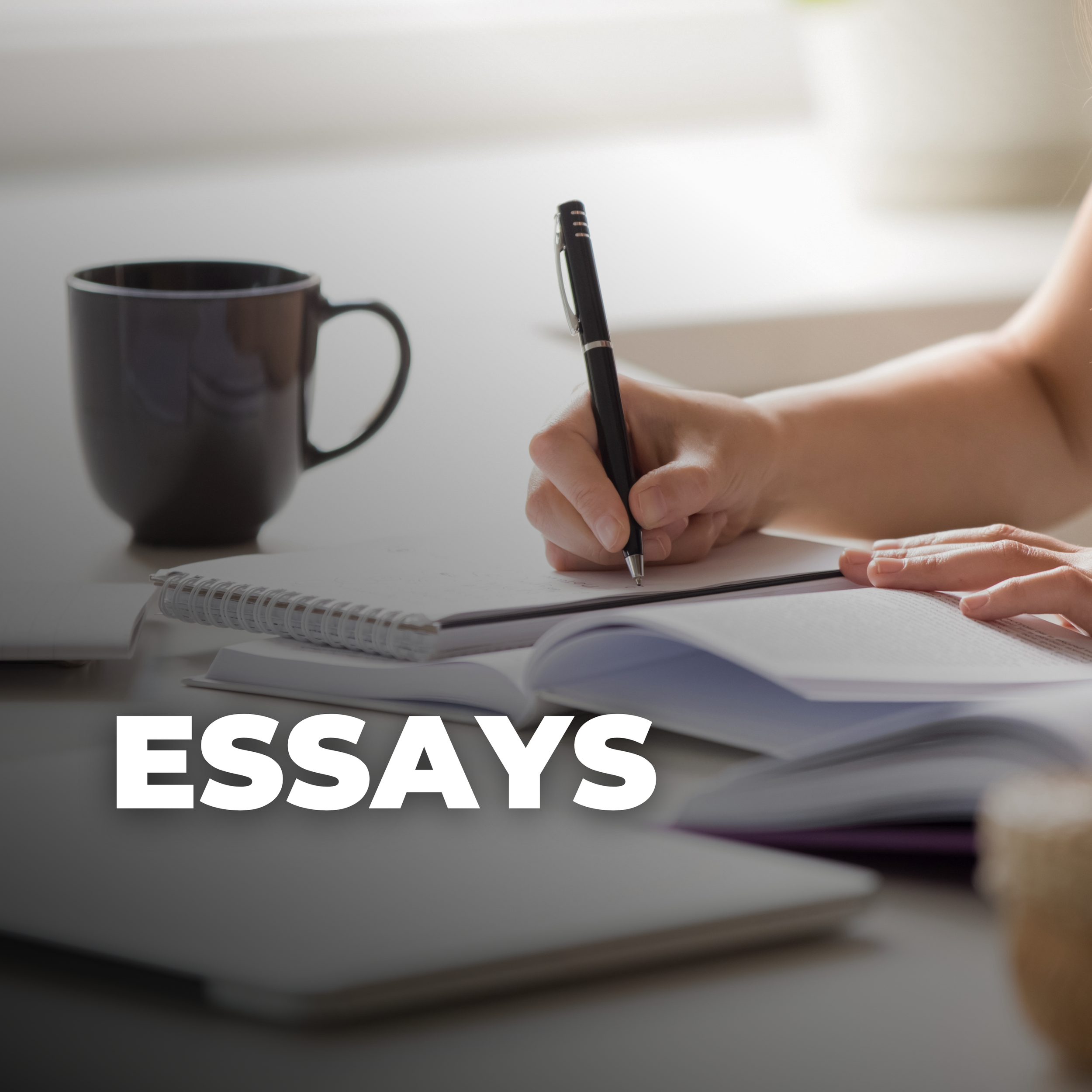 WEBSITE MINIATURES.png