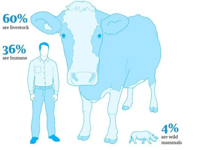 Image source: The Guardian