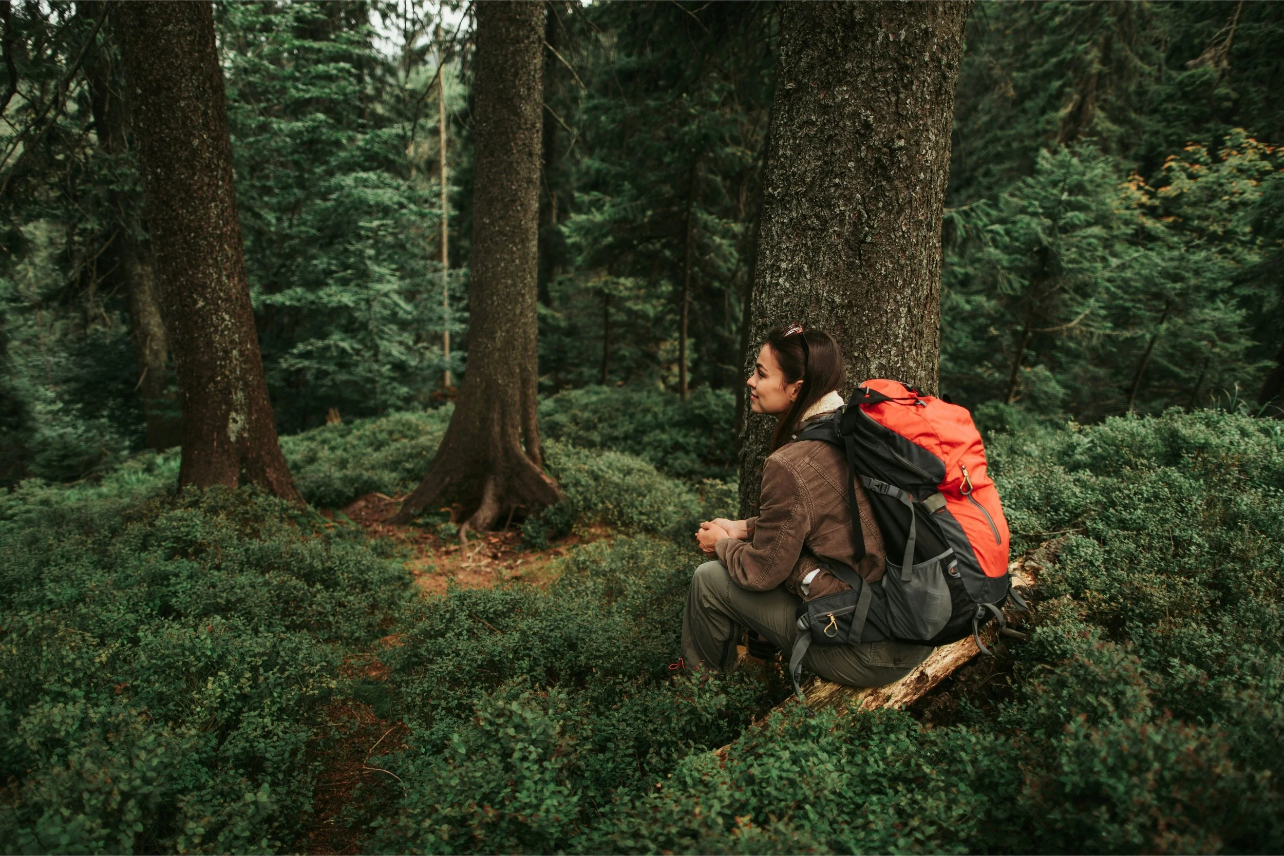 A hiker resting against a tree in a lush green forest, living lightly on the Earth