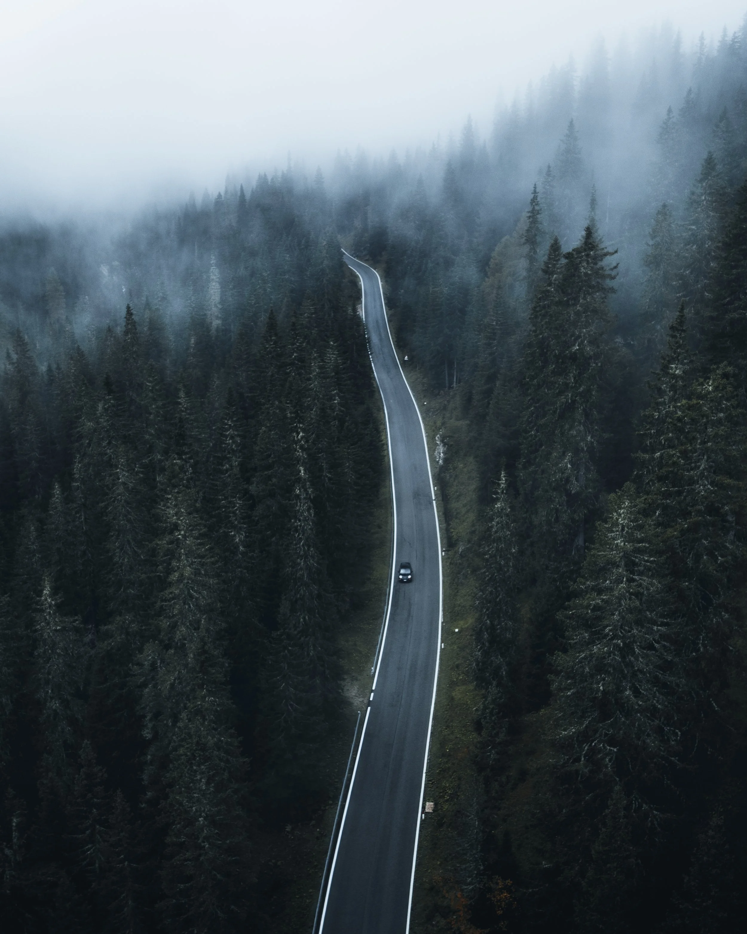 A winding two-lane road through a dense, foggy forest with tall green trees on either side.