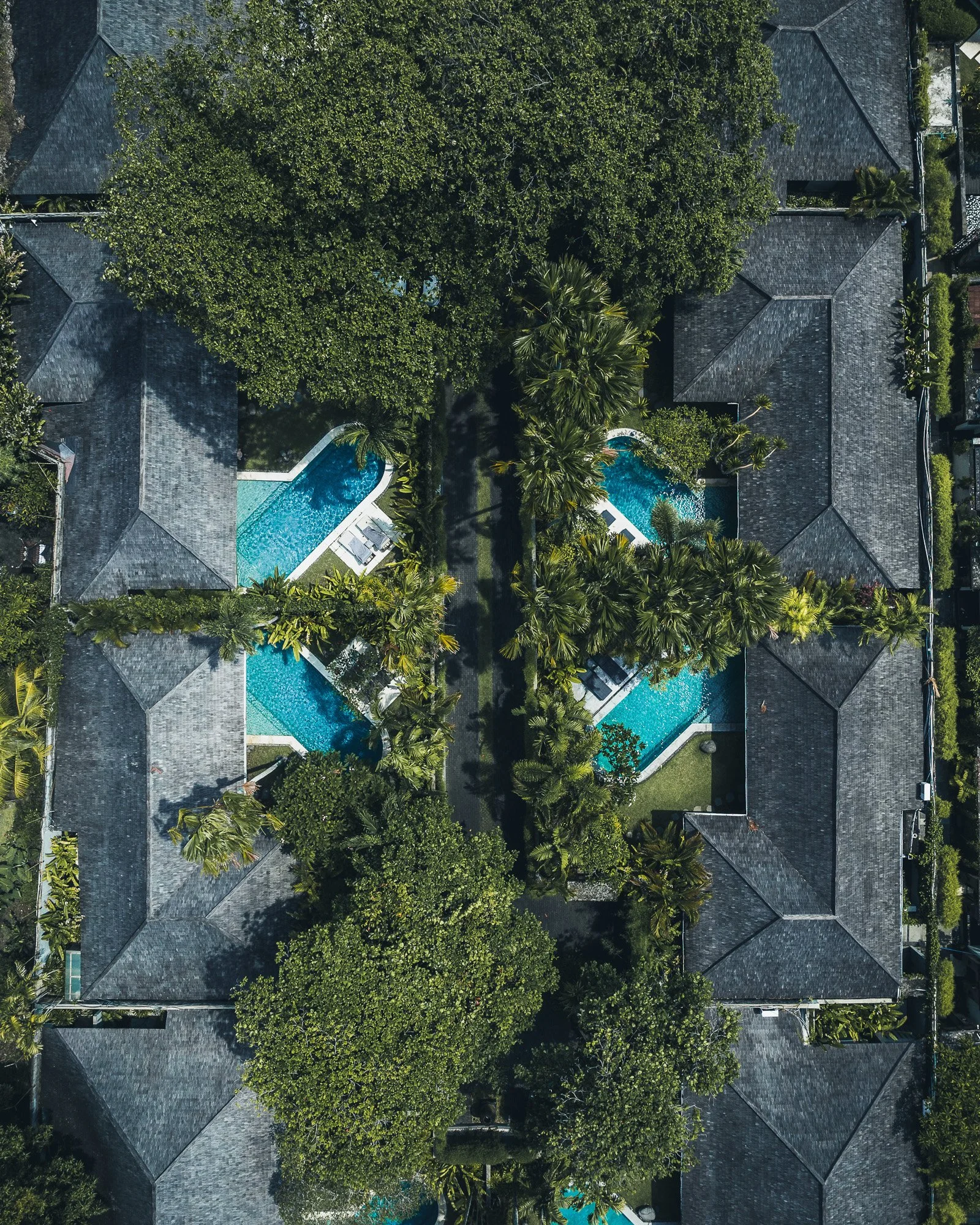 Drone (6).jpg
