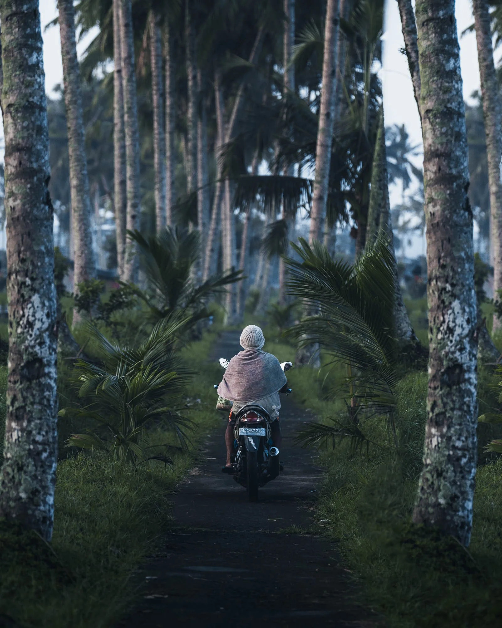 Bali Camera (94).jpg