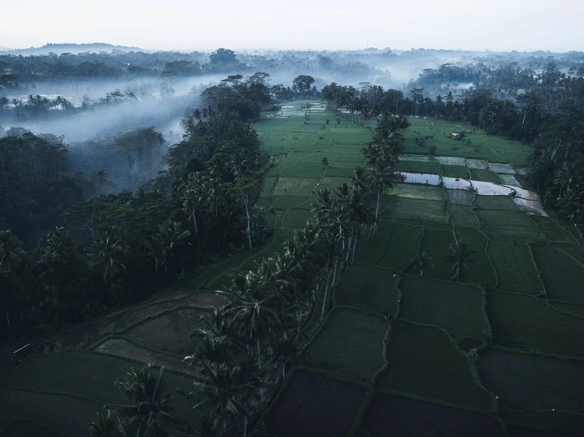 DJI_0220.jpg