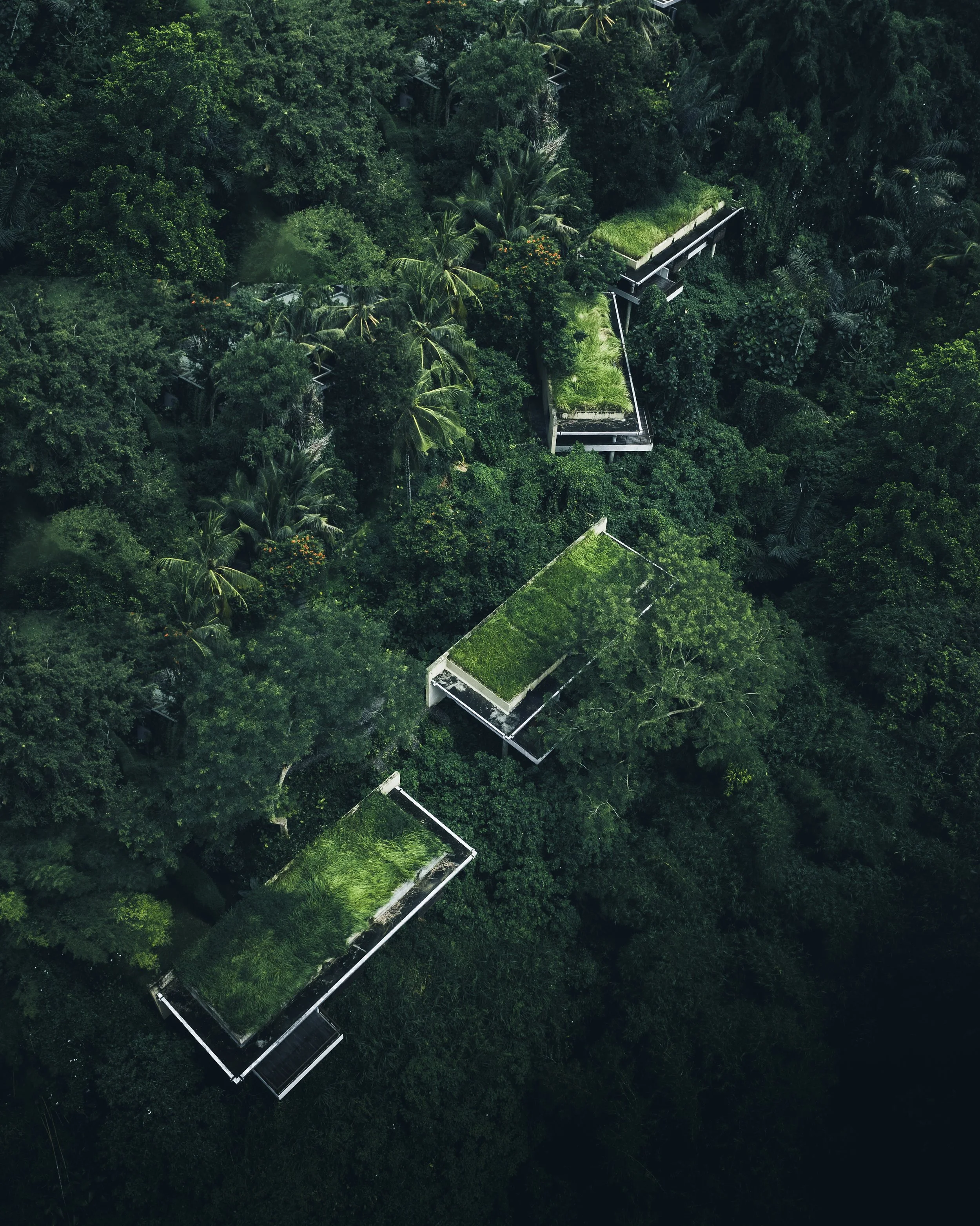 Drone (3).jpg
