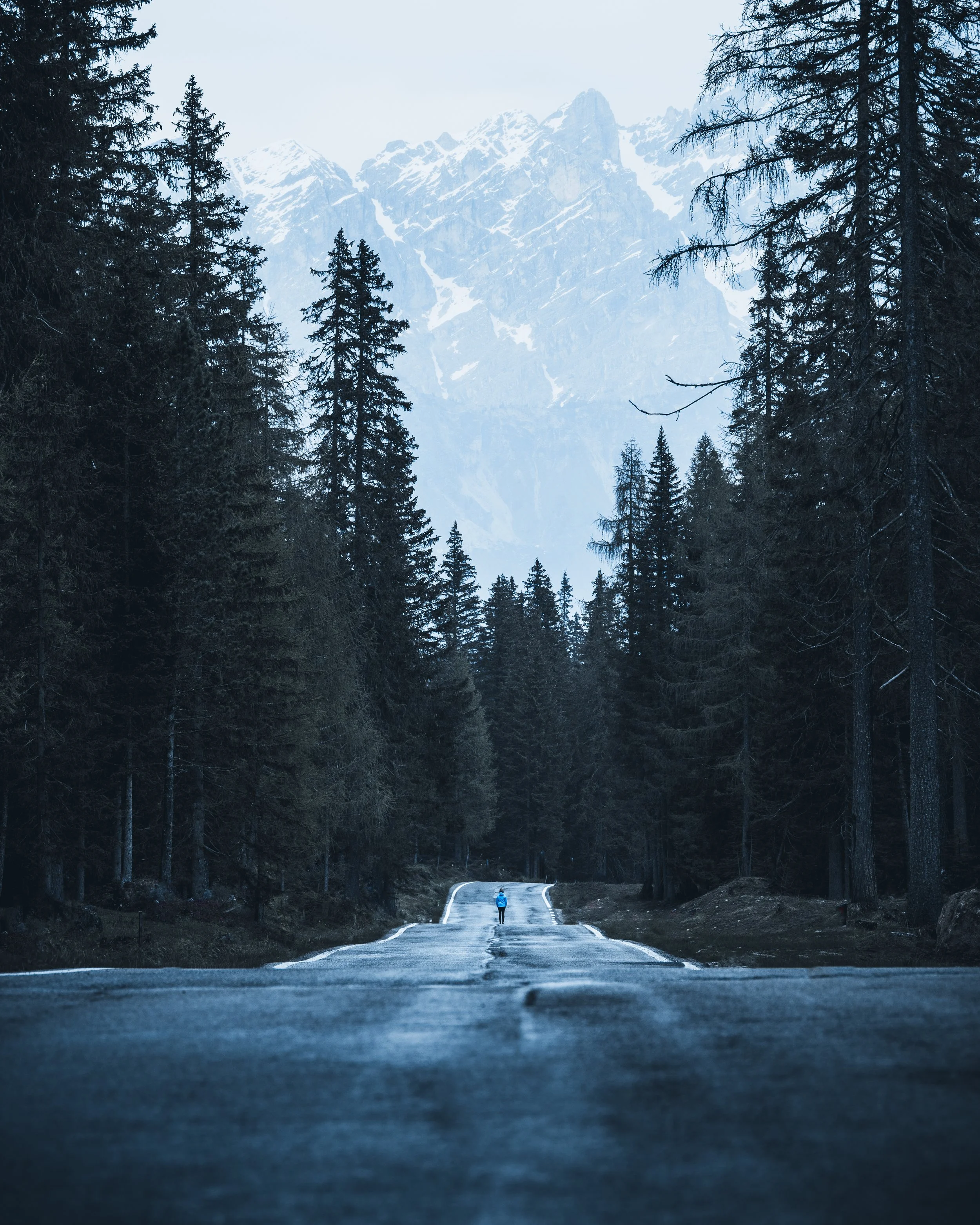 A person walking down a deserted road through a dense forest, with snow-covered mountains in the background.