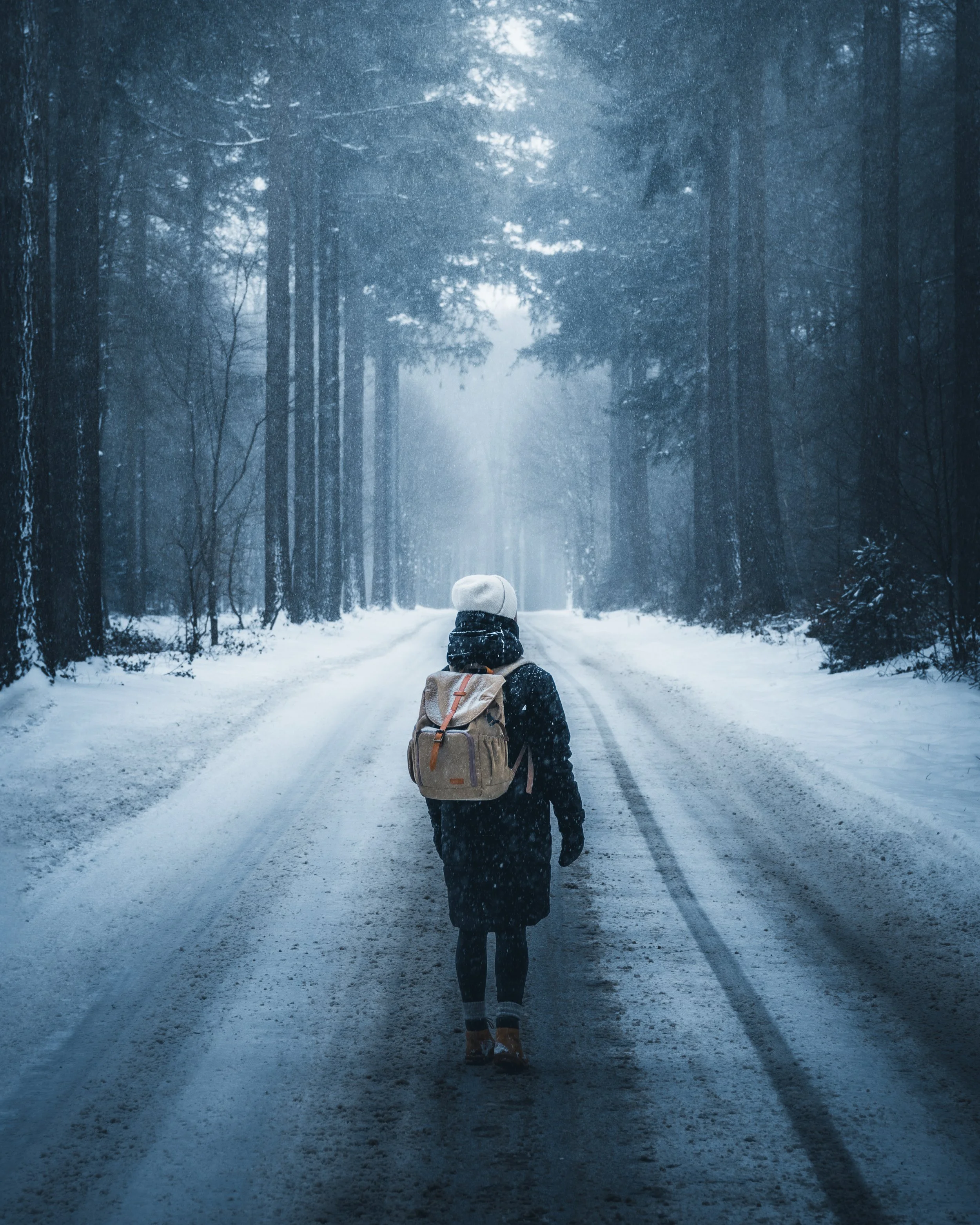 Winterfoto's (34) (1).jpg